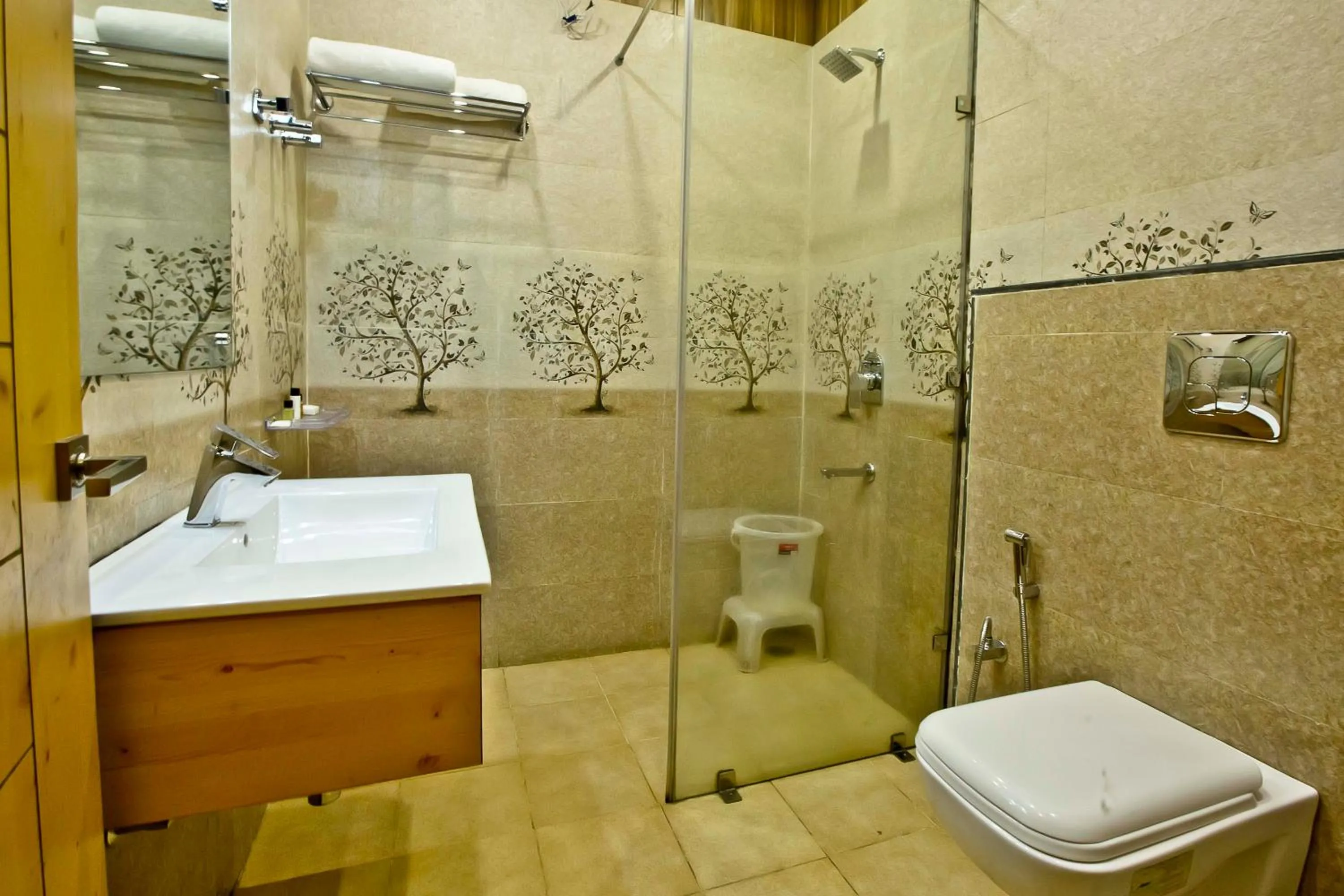 Toilet in Quartz Himalayan Brothers