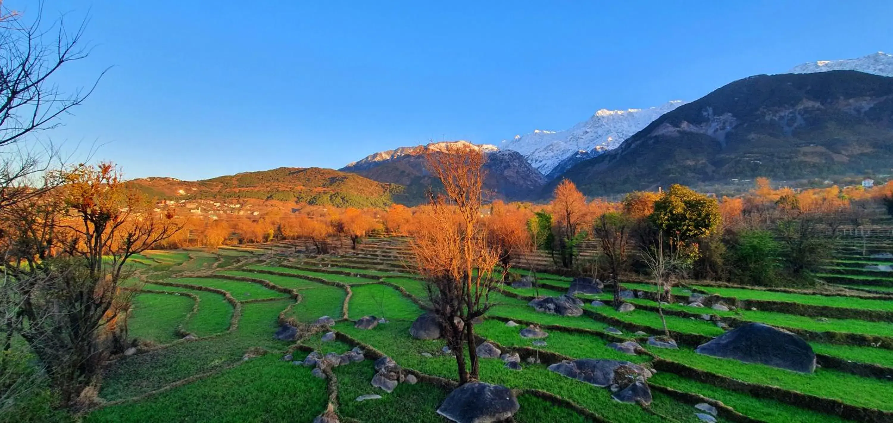 View (from property/room) in Quartz Himalayan Brothers View (from property/room) in Quartz Himalayan Brothers
