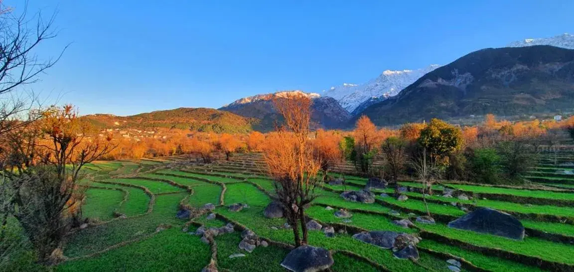 Mountain view in Quartz Himalayan Brothers Mountain view in Quartz Himalayan Brothers