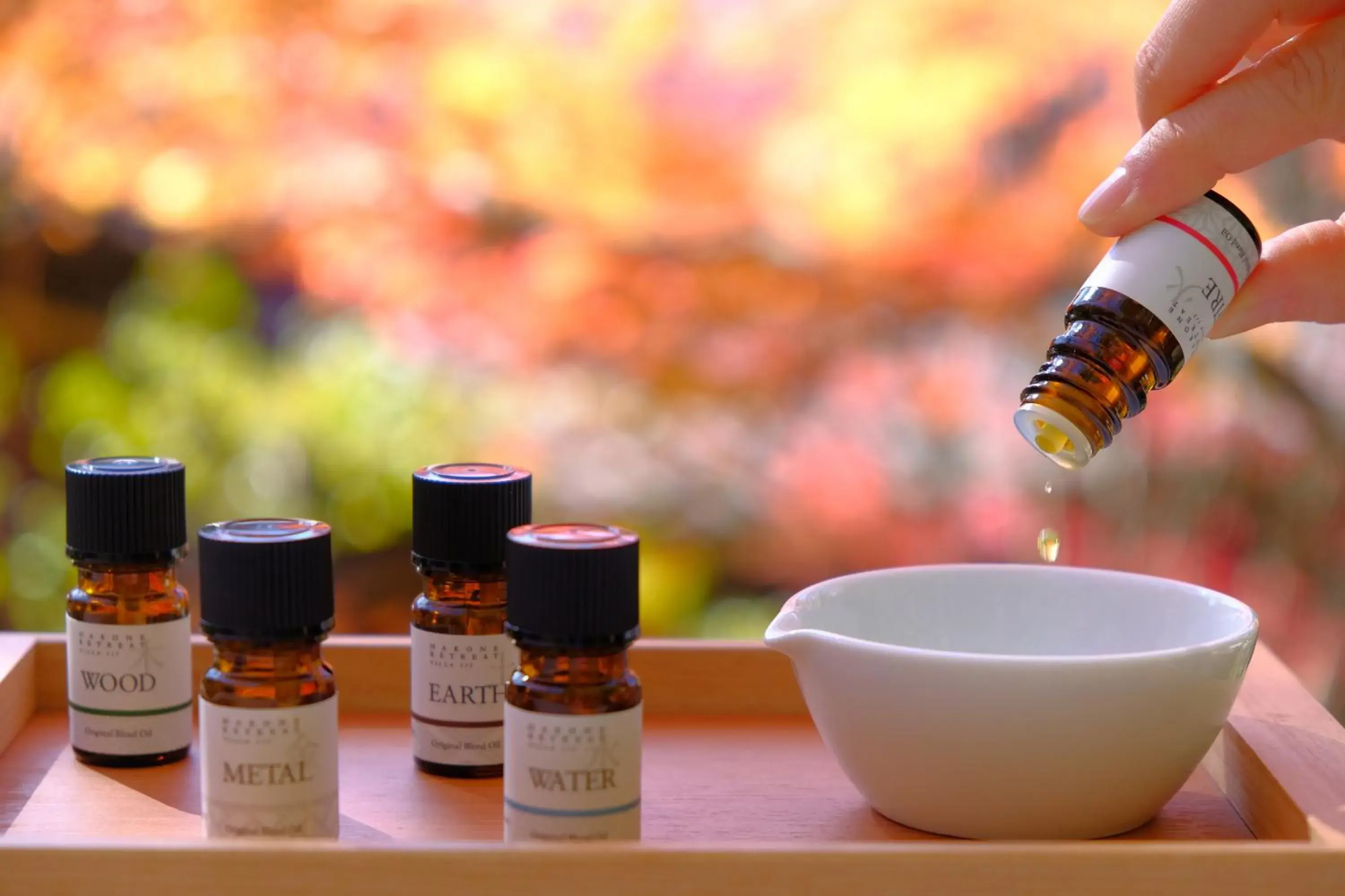 Spa and wellness centre/facilities in Hakone Retreat Före Spa and wellness centre/facilities in Hakone Retreat Före