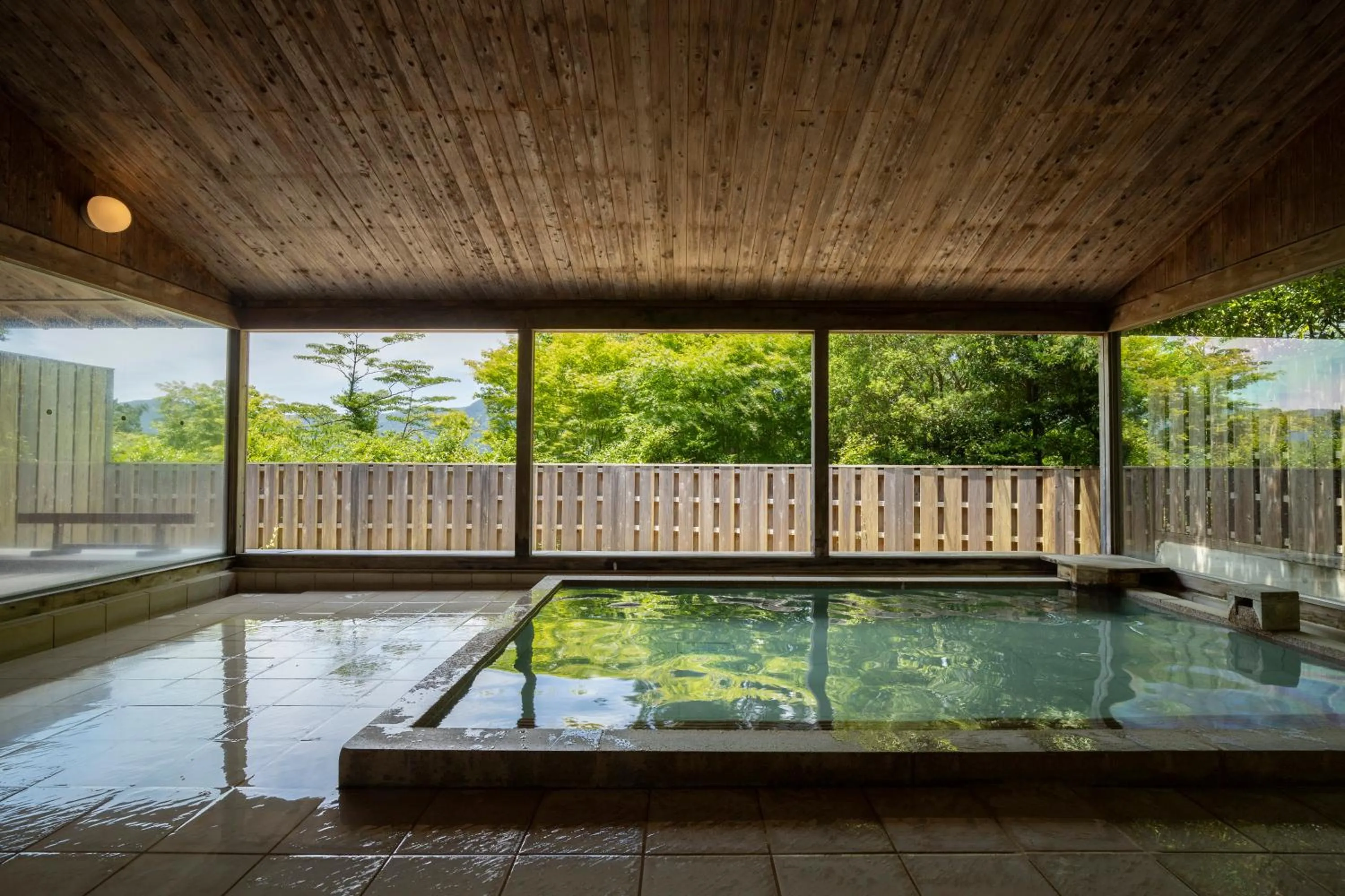 Public Bath in Hakone Retreat Före