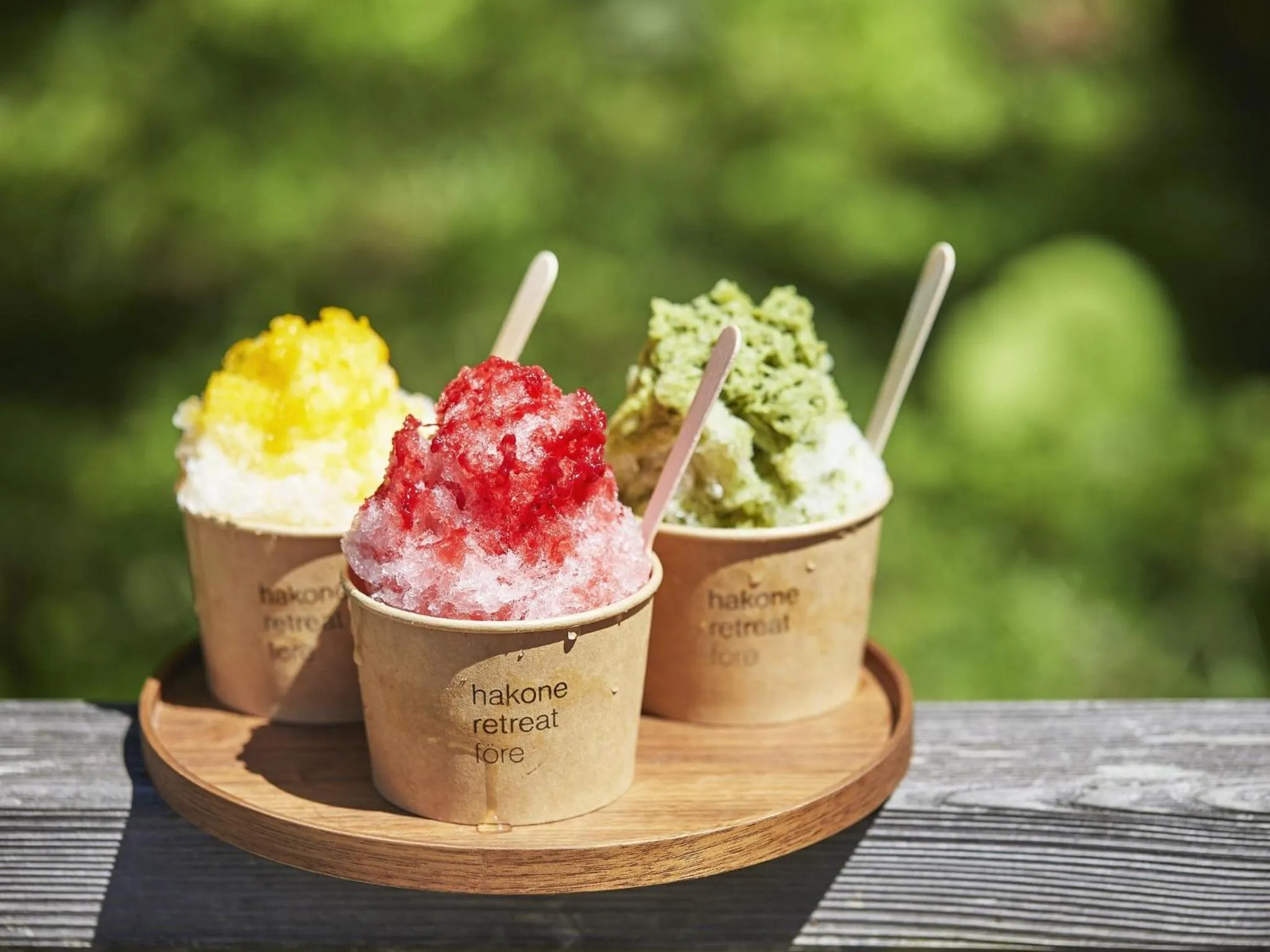 Seasons in Hakone Retreat Före