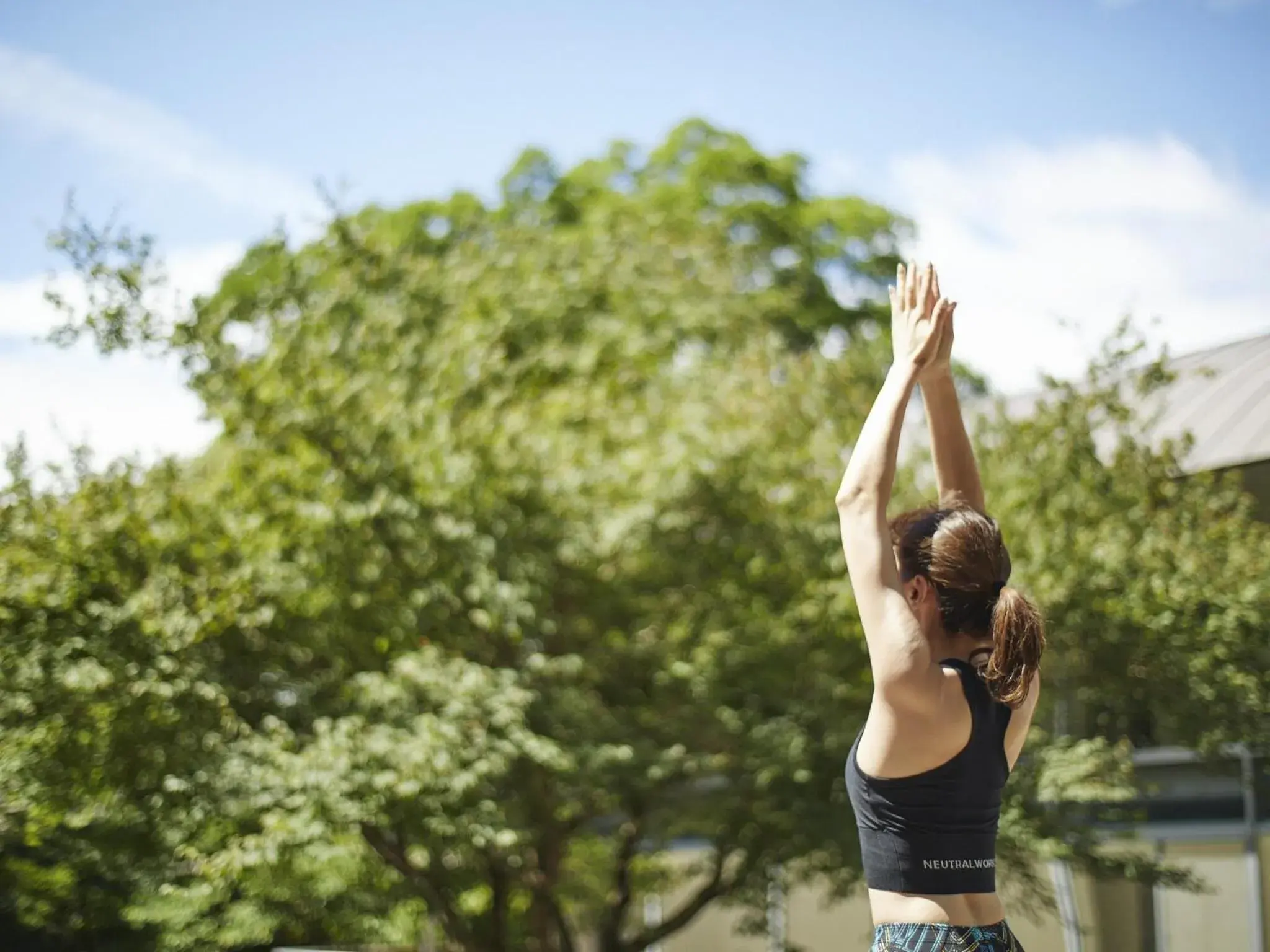 Hakone Retreat Före Hakone Retreat Före