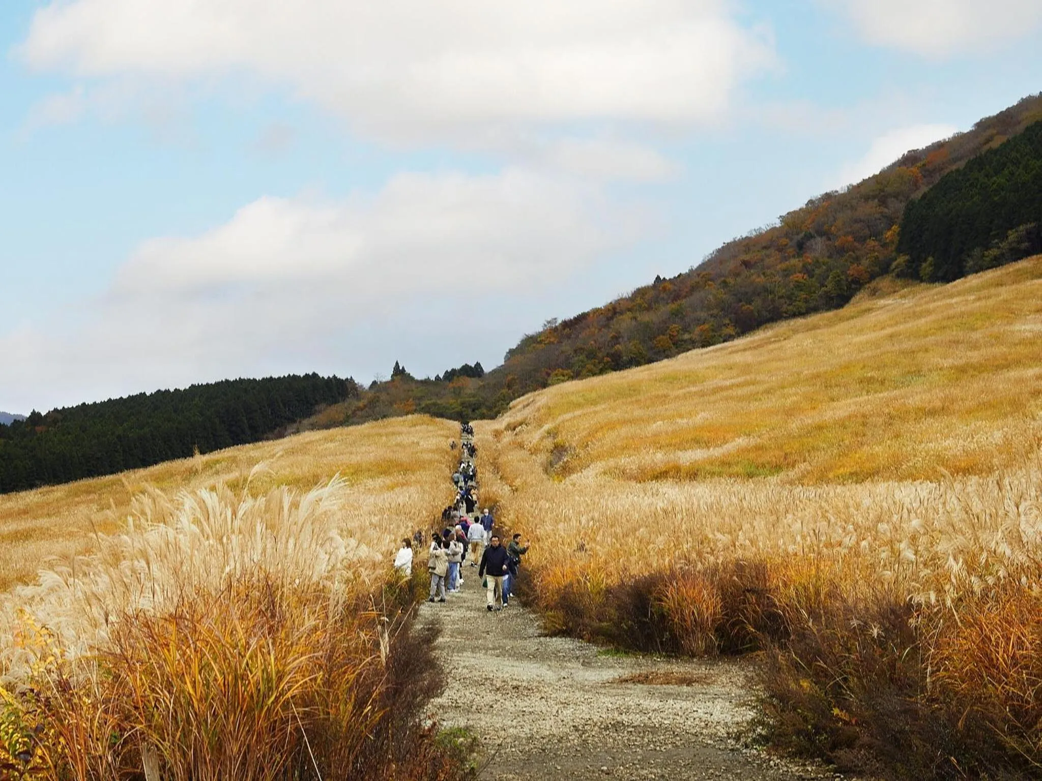 Nearby landmark in Hakone Retreat Före