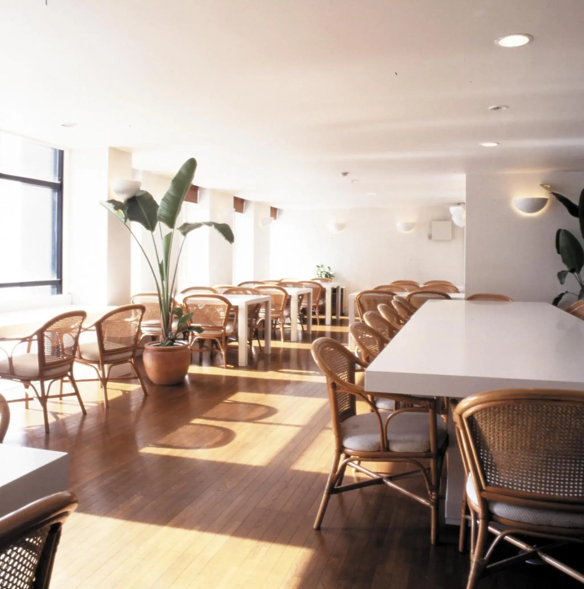 Restaurant/places to eat in Mistral Restaurant/places to eat in Mistral