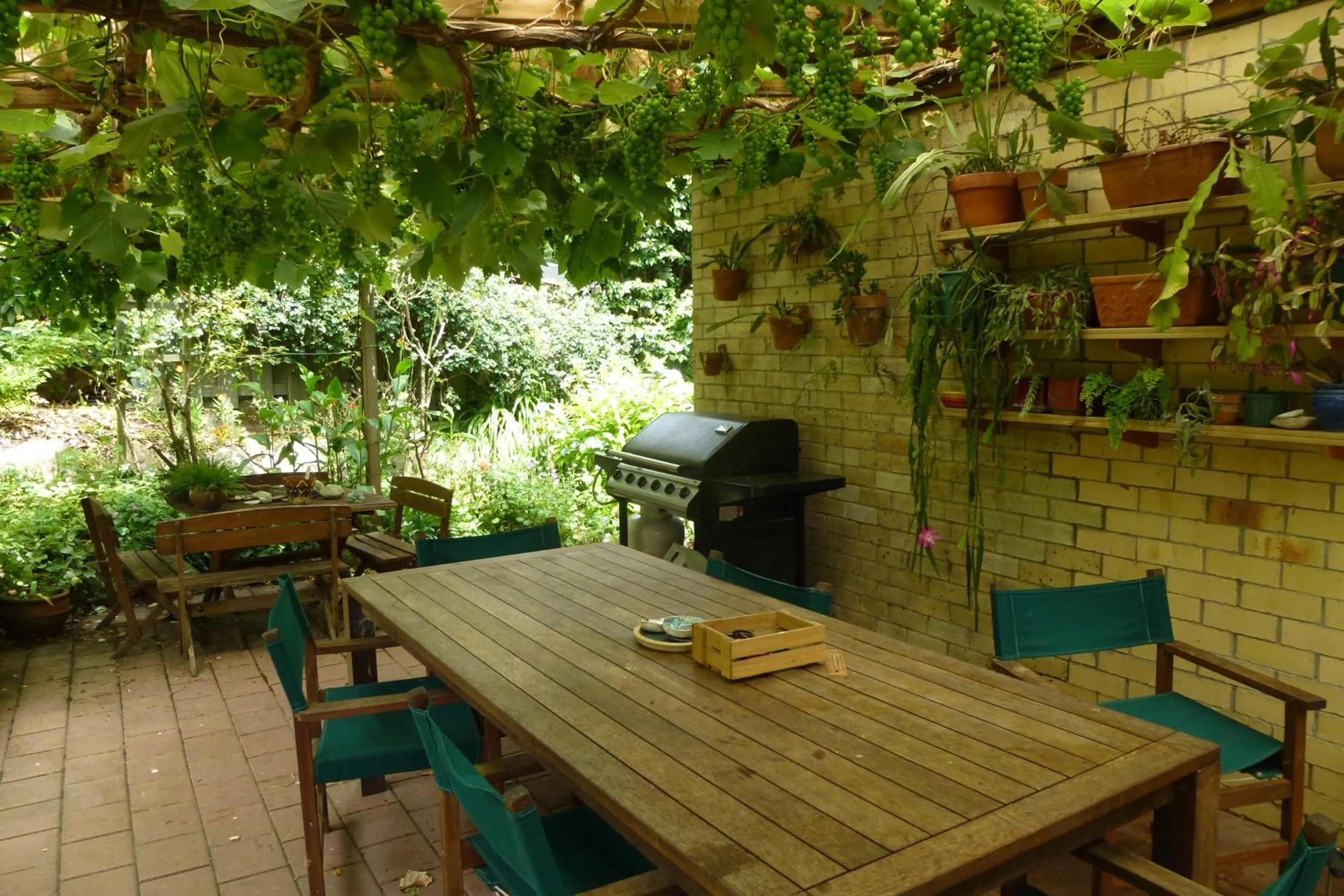 Patio in Waitomo Caves Guest Lodge