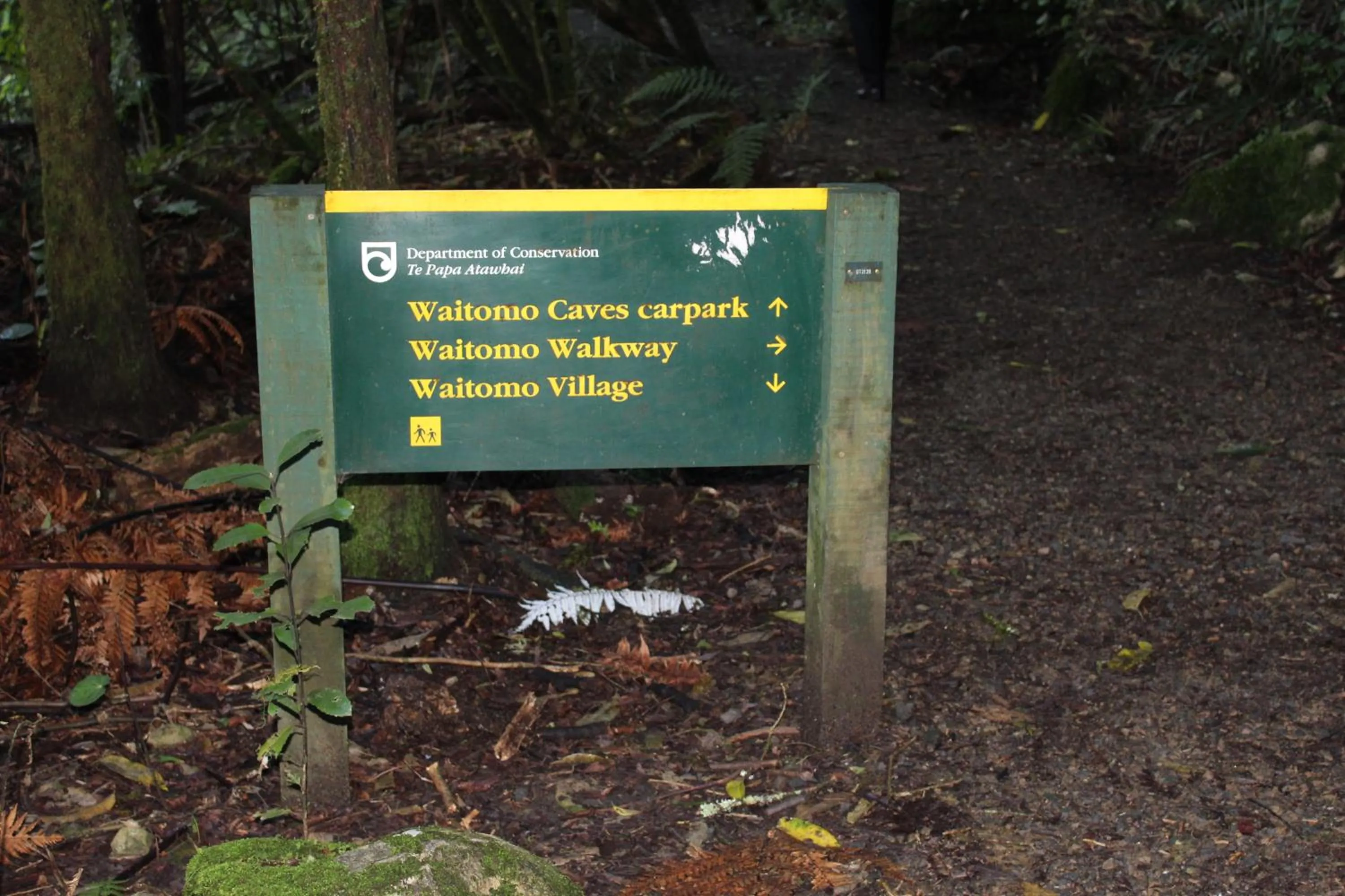 Hiking in Waitomo Caves Guest Lodge