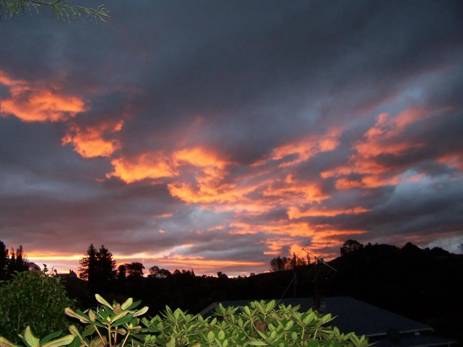 Natural landscape in Waitomo Caves Guest Lodge