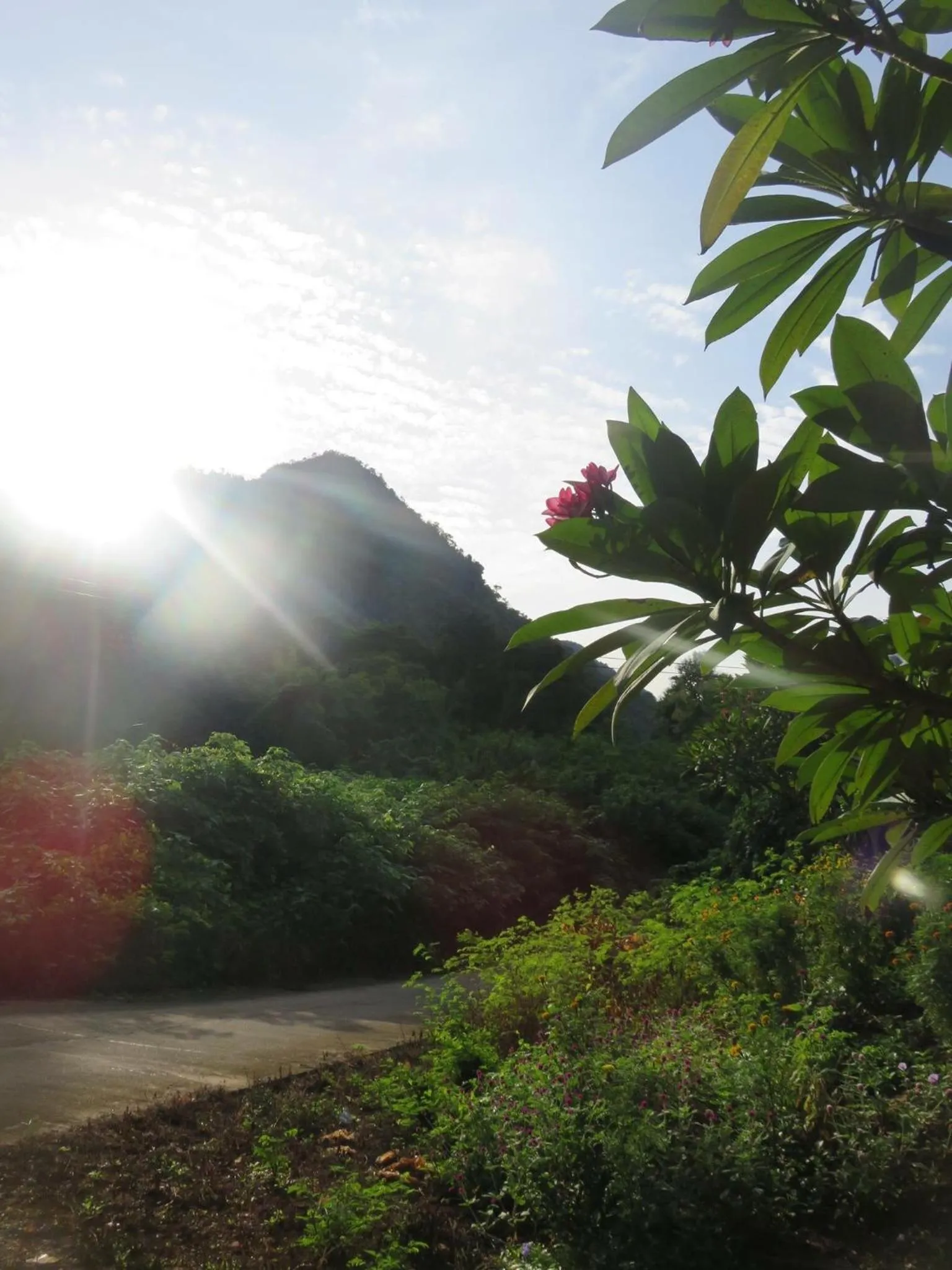Natural landscape in Yayee Homestay