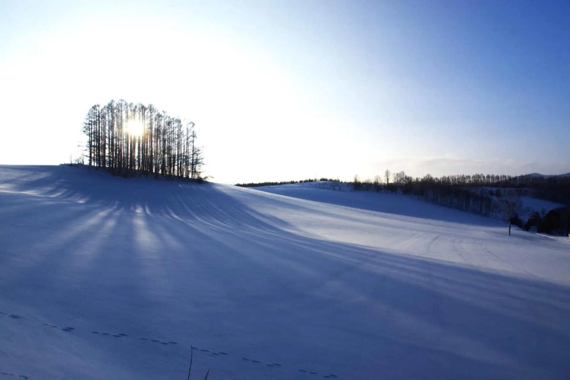 Off site in Pension Megumiyuki