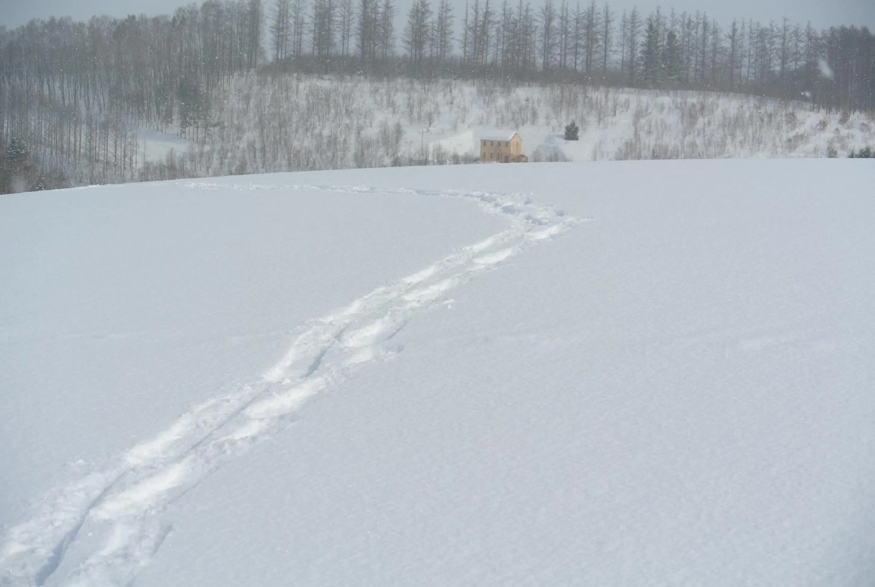 Hiking in Pension Megumiyuki