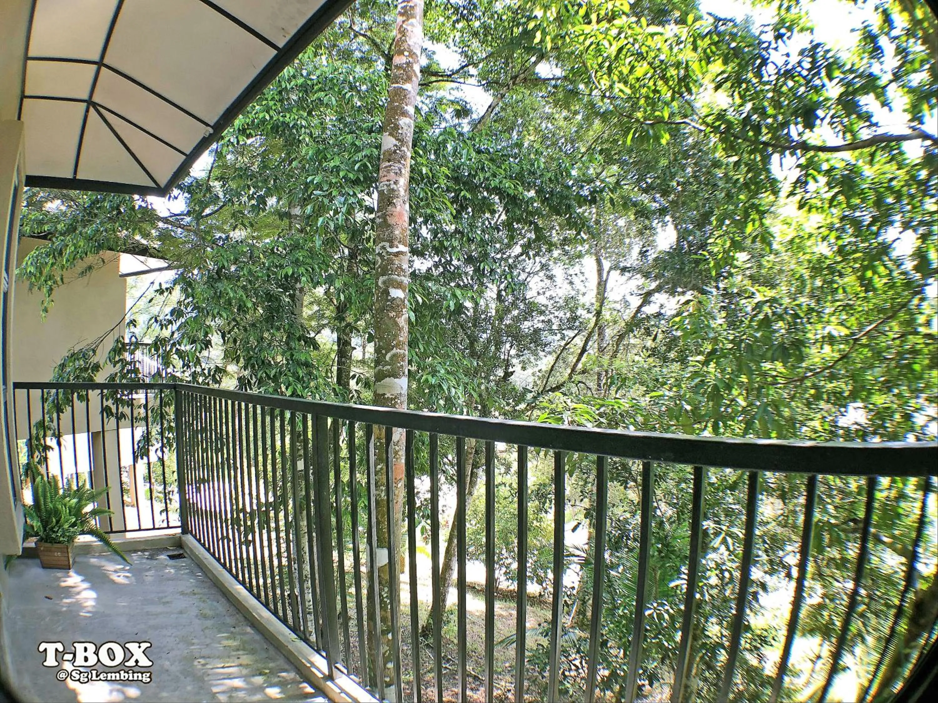 View (from property/room) in T-Box Sungai Lembing