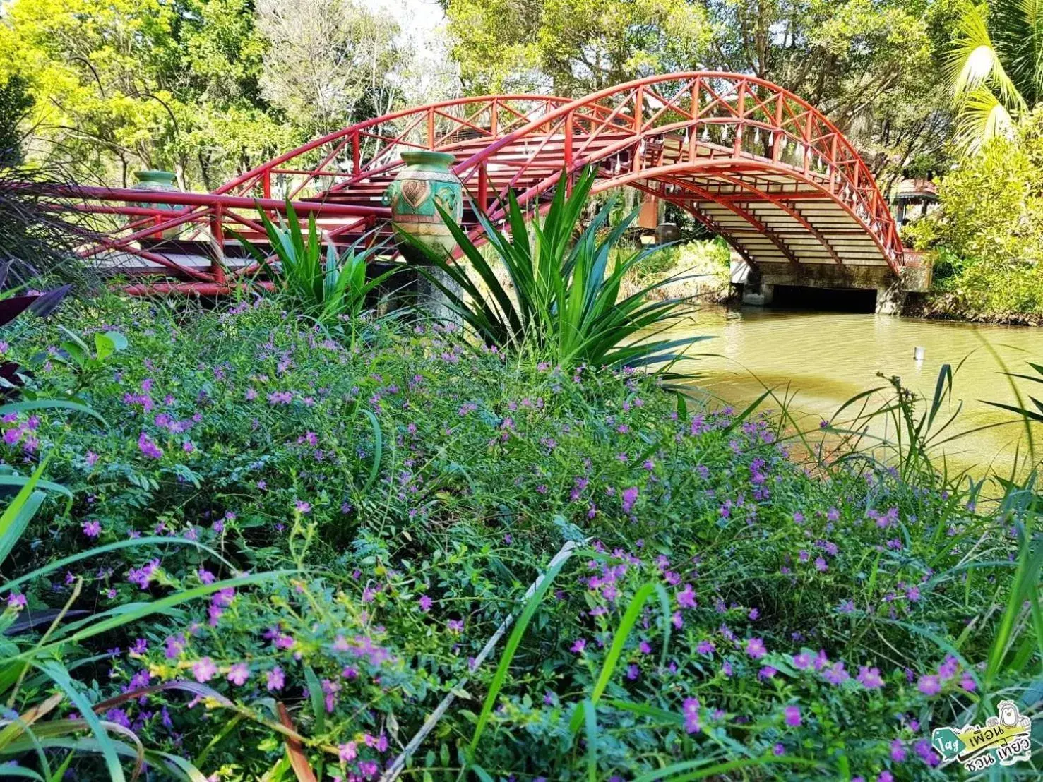 Garden view in Muaan Resort Garden view in Muaan Resort