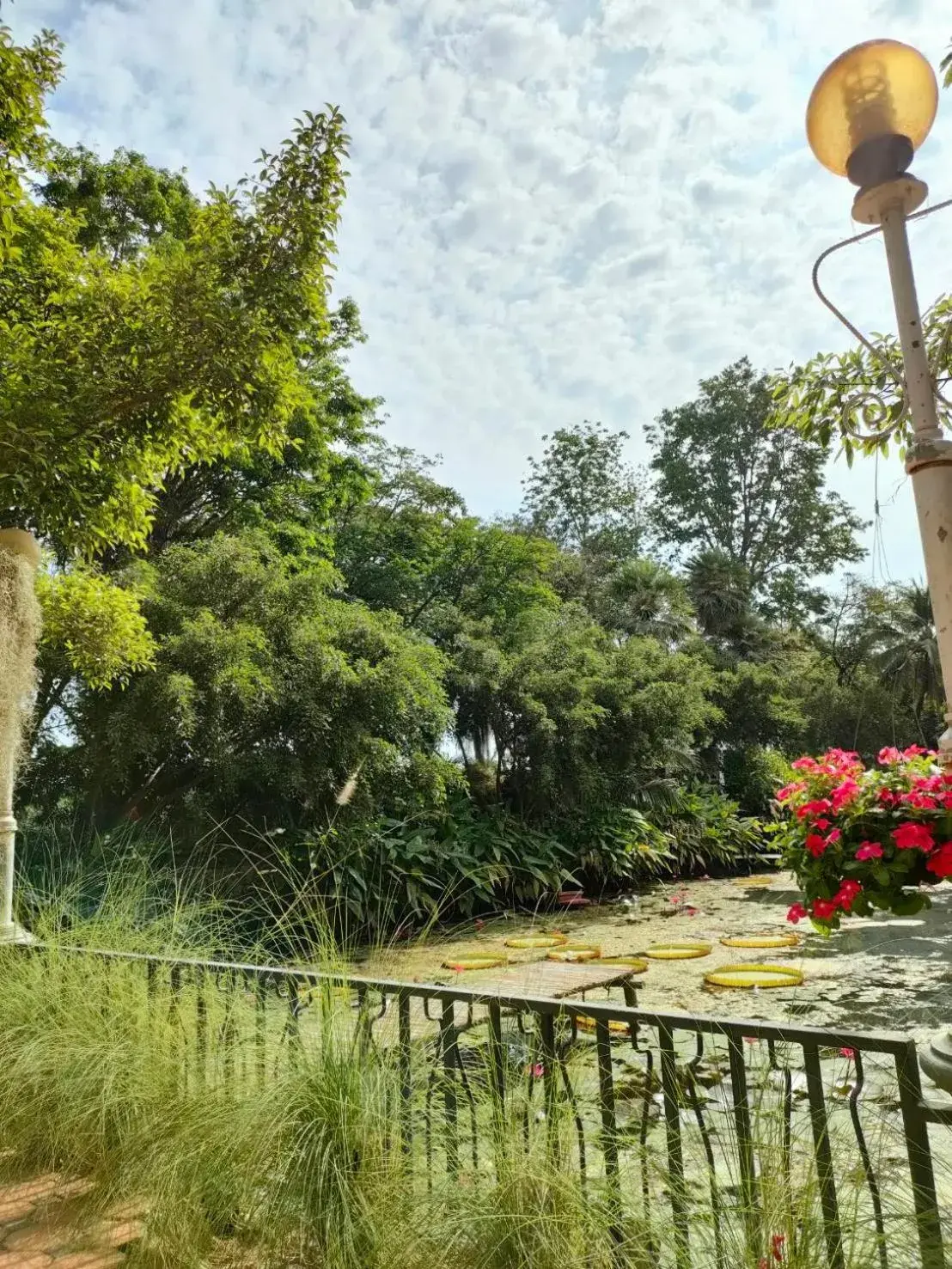 View (from property/room) in Muaan Resort View (from property/room) in Muaan Resort