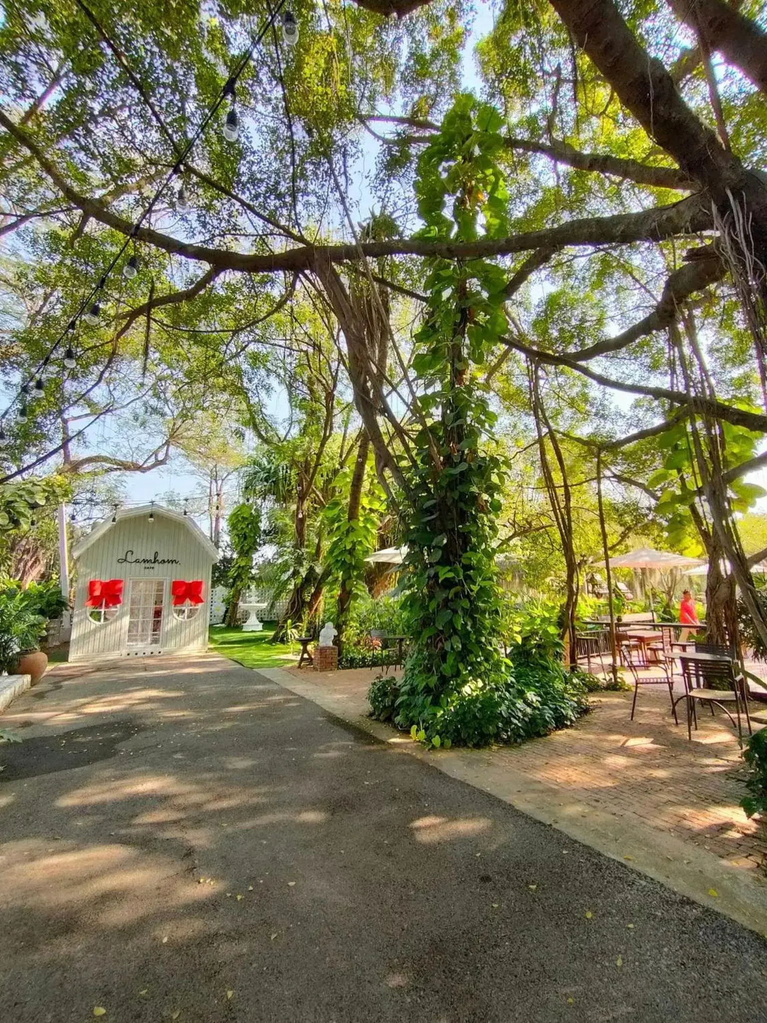 Restaurant/places to eat in Muaan Resort Restaurant/places to eat in Muaan Resort