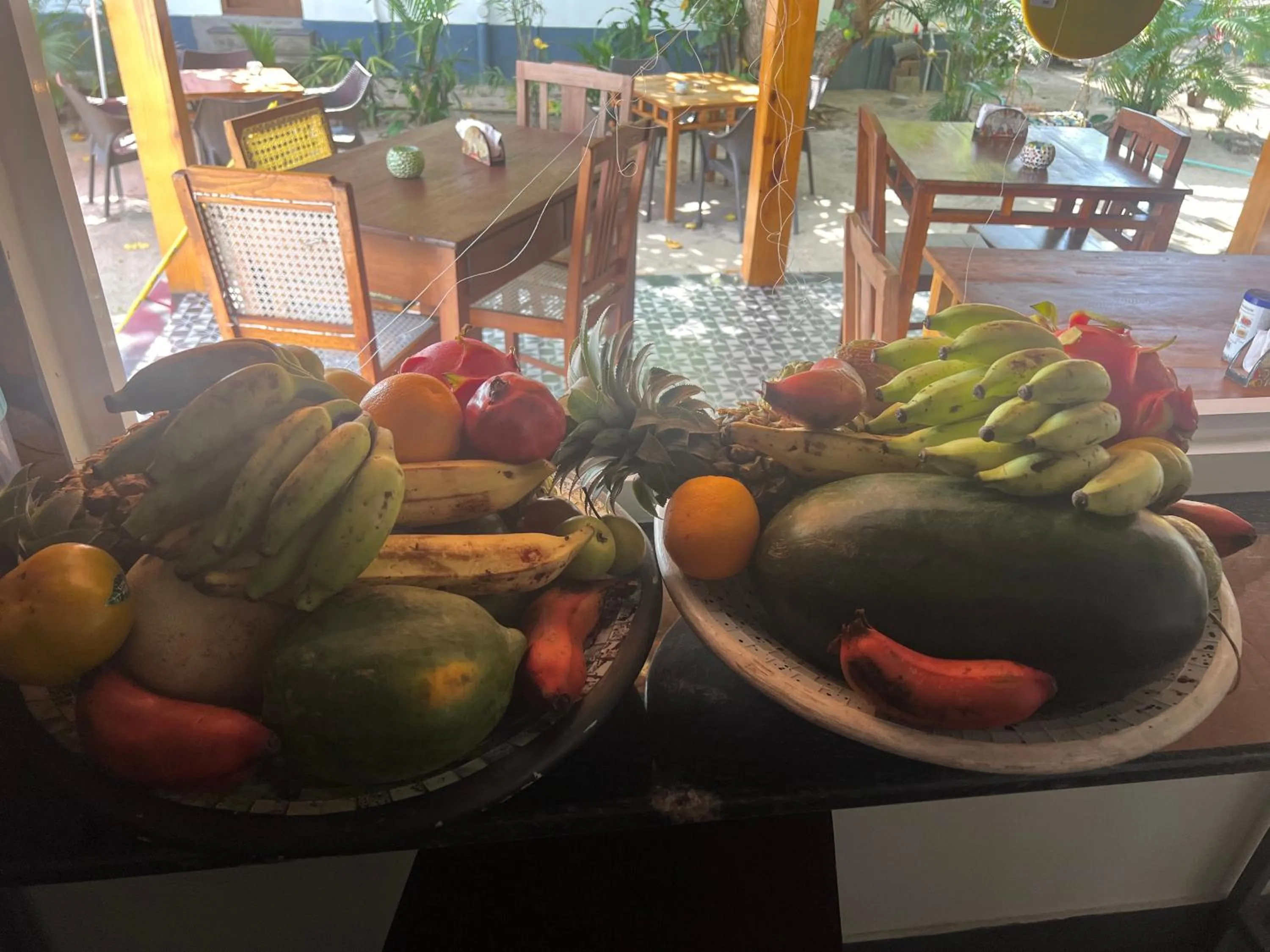 Alleppey Beach Garden