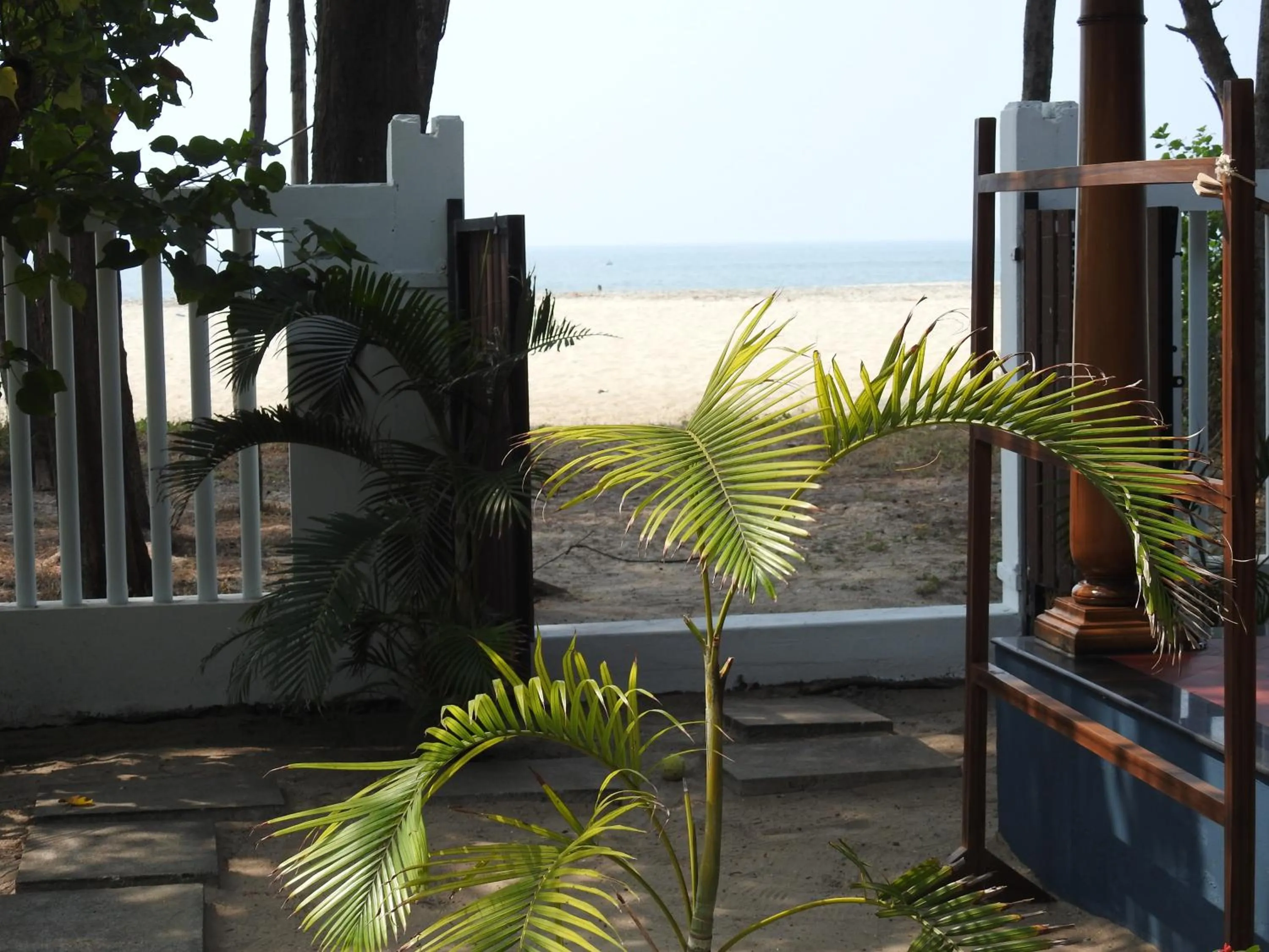 Alleppey Beach Garden
