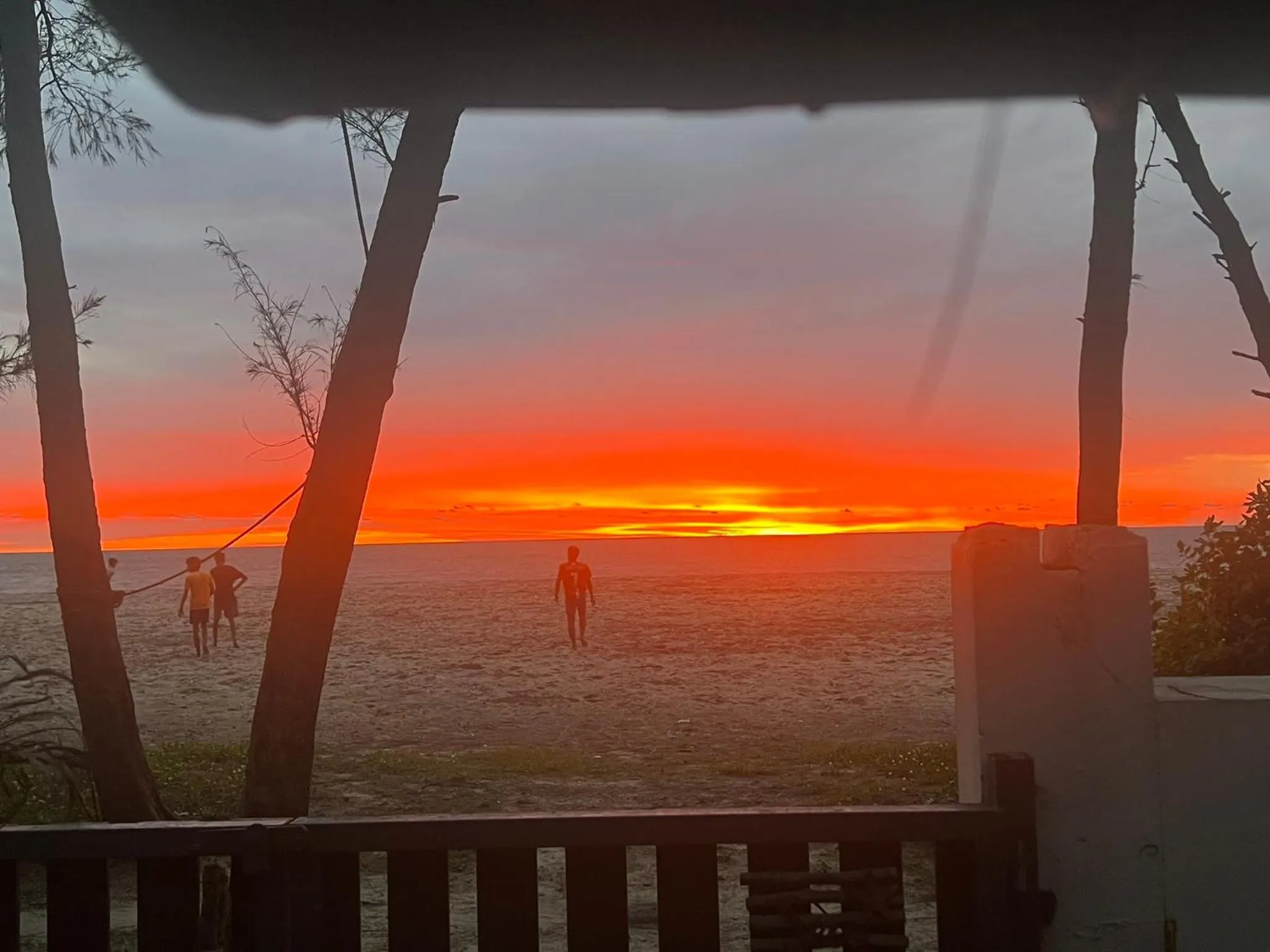 Alleppey Beach Garden