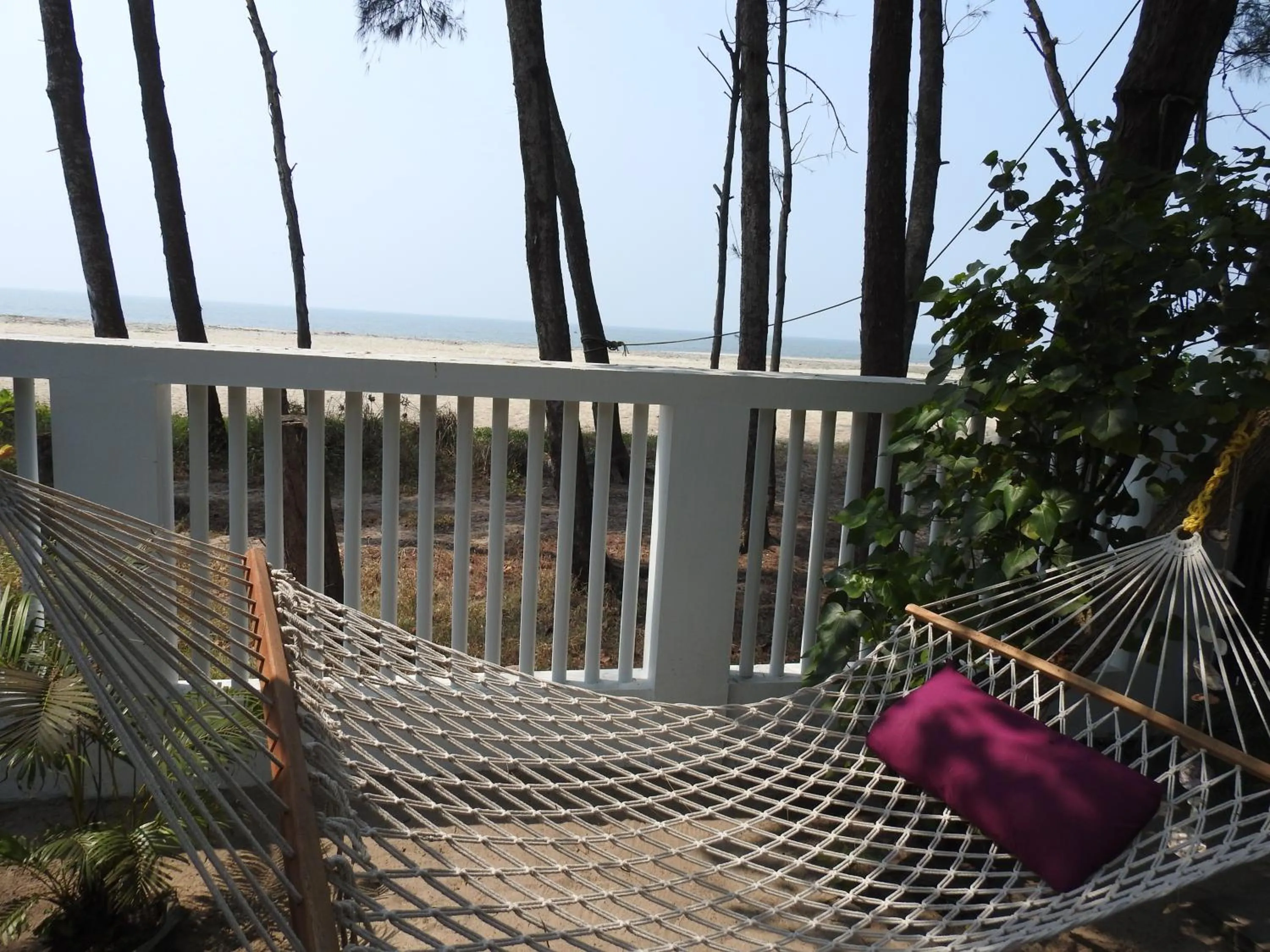 Alleppey Beach Garden