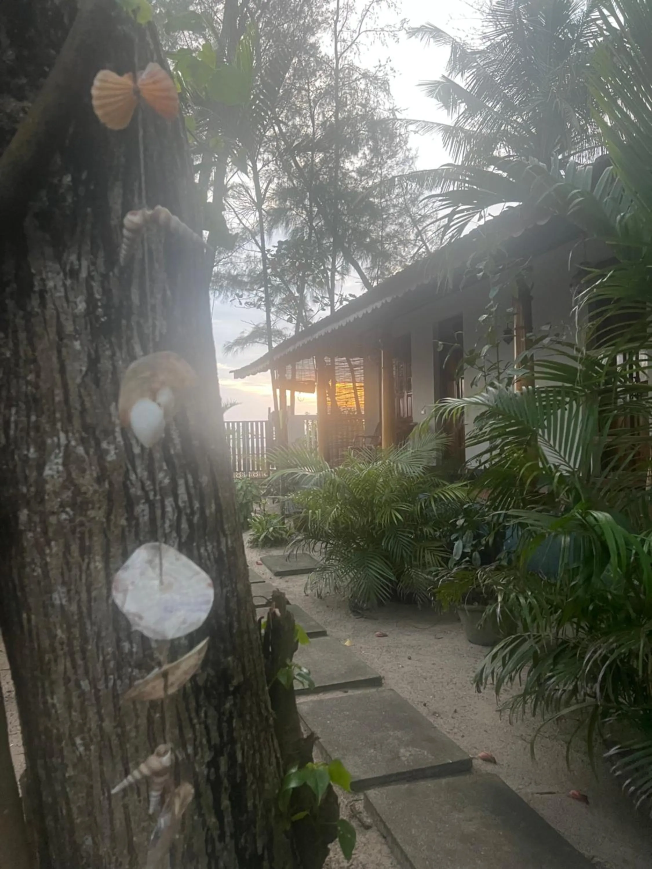 Alleppey Beach Garden