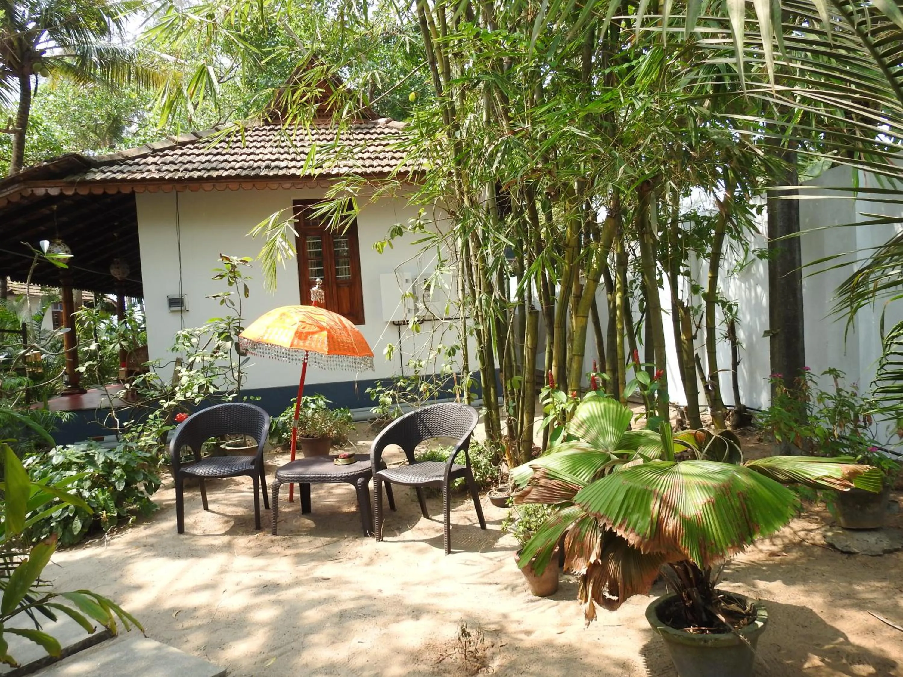 Alleppey Beach Garden
