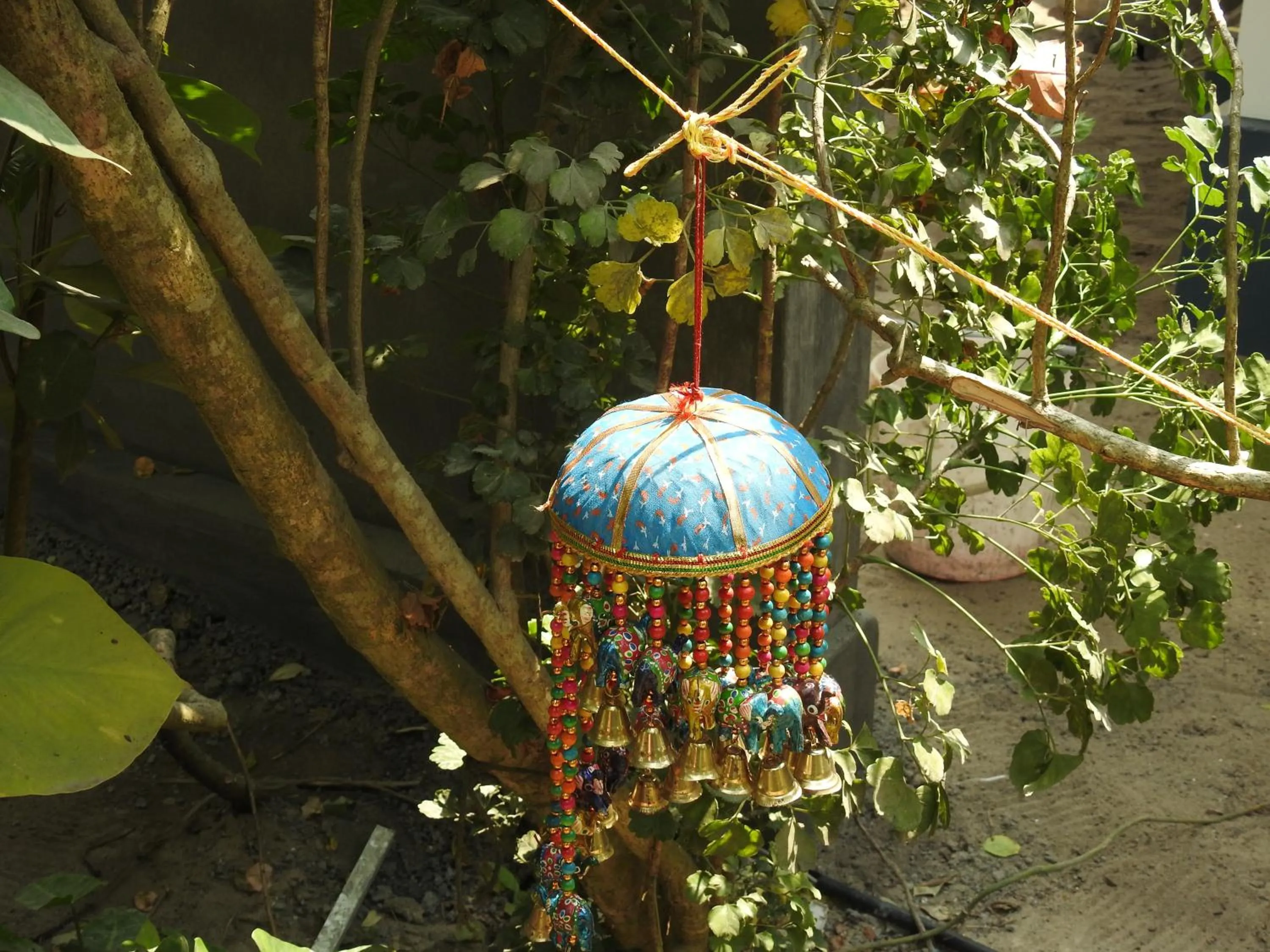 Alleppey Beach Garden