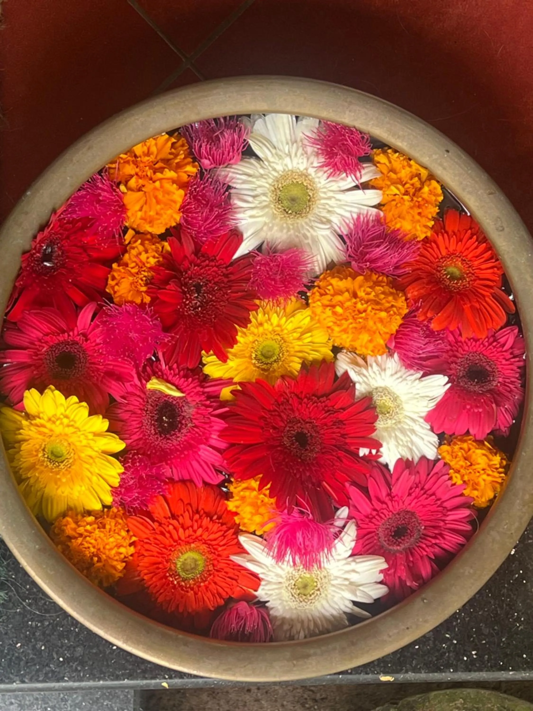 Alleppey Beach Garden