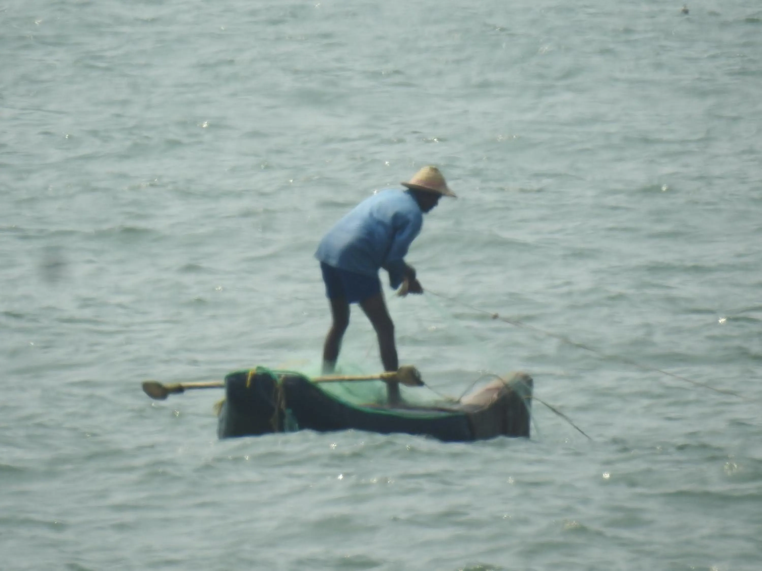 Alleppey Beach Garden