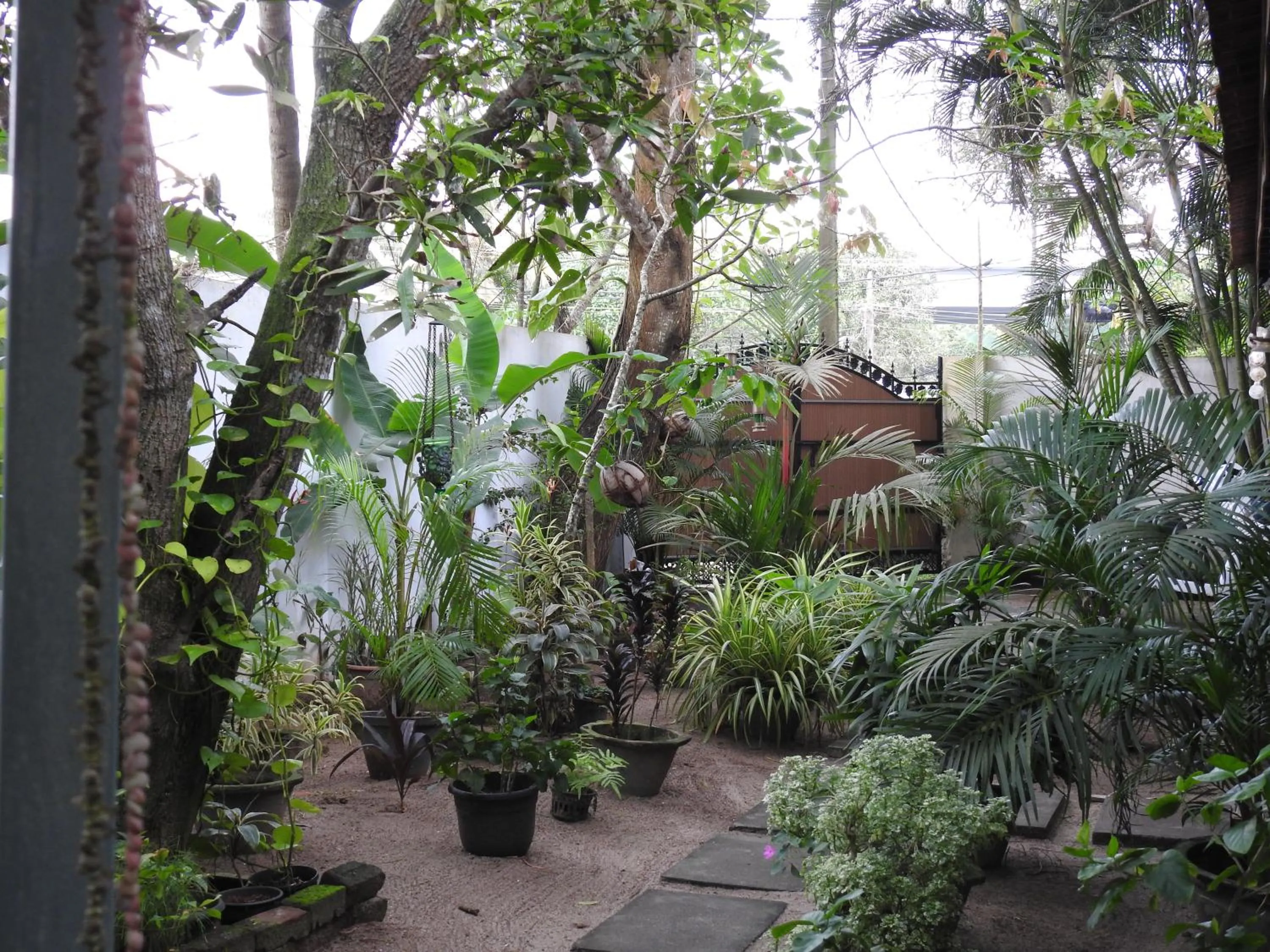 Alleppey Beach Garden