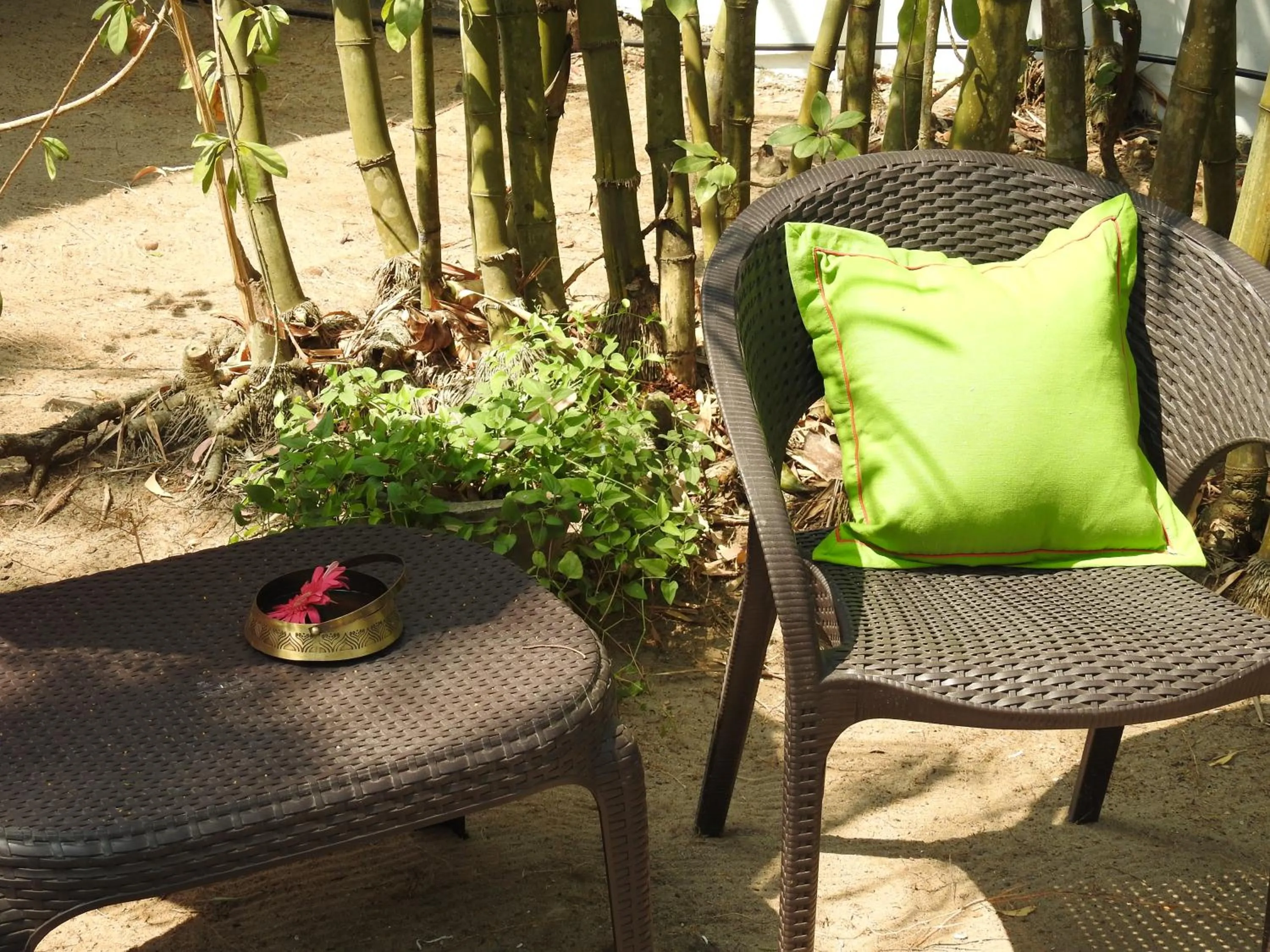 Alleppey Beach Garden