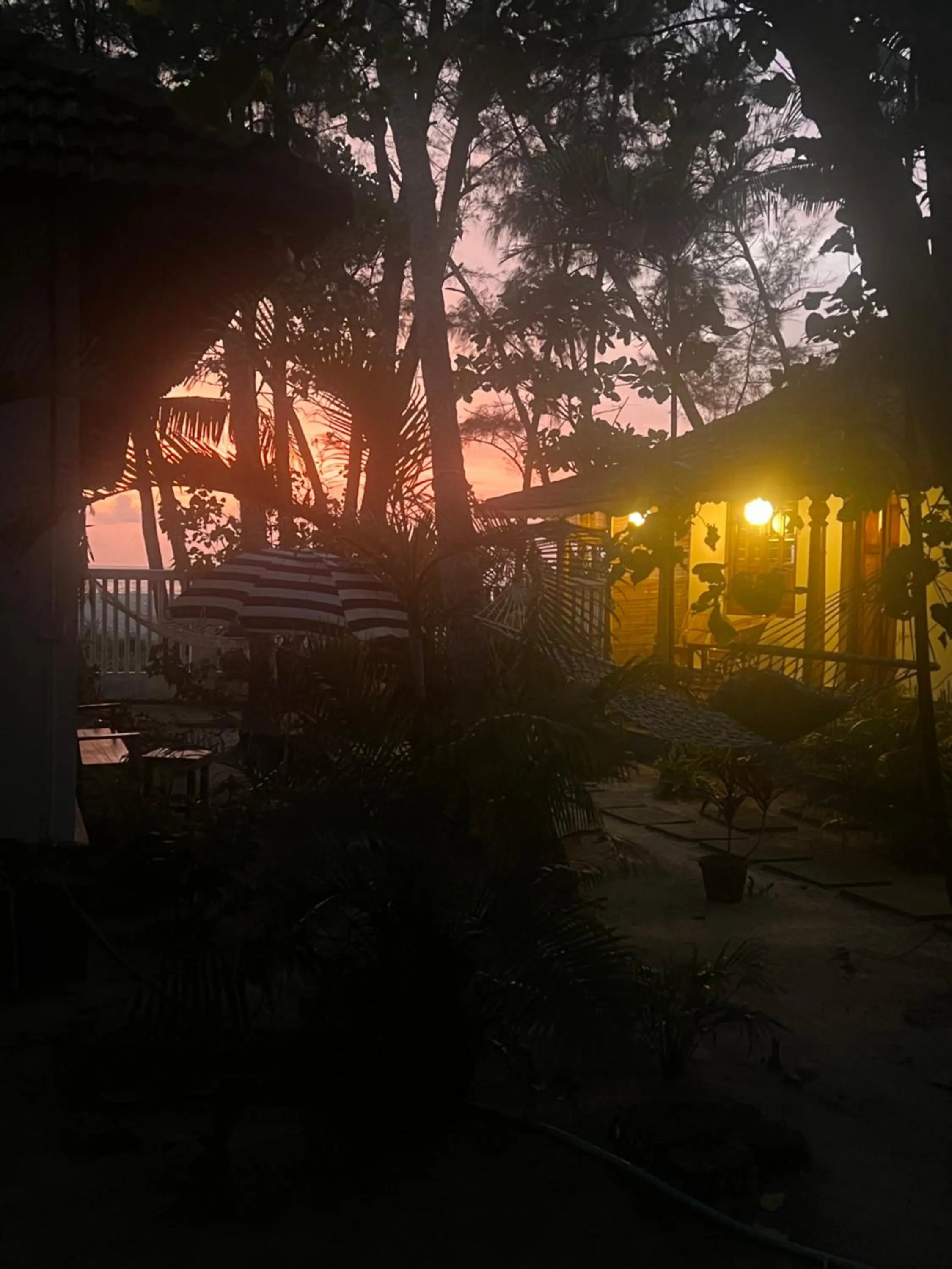 Alleppey Beach Garden