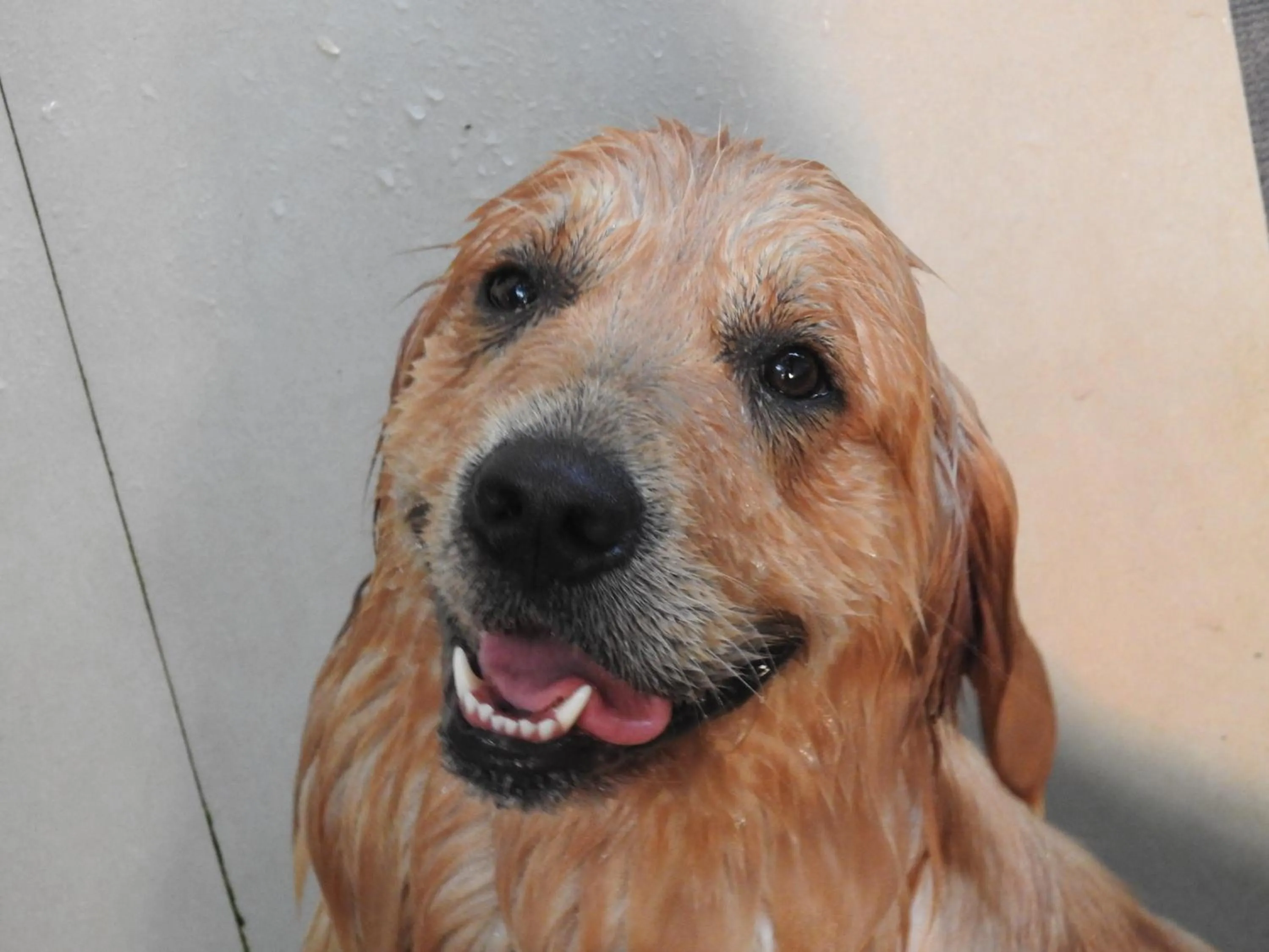Other in Alleppey Beach Garden