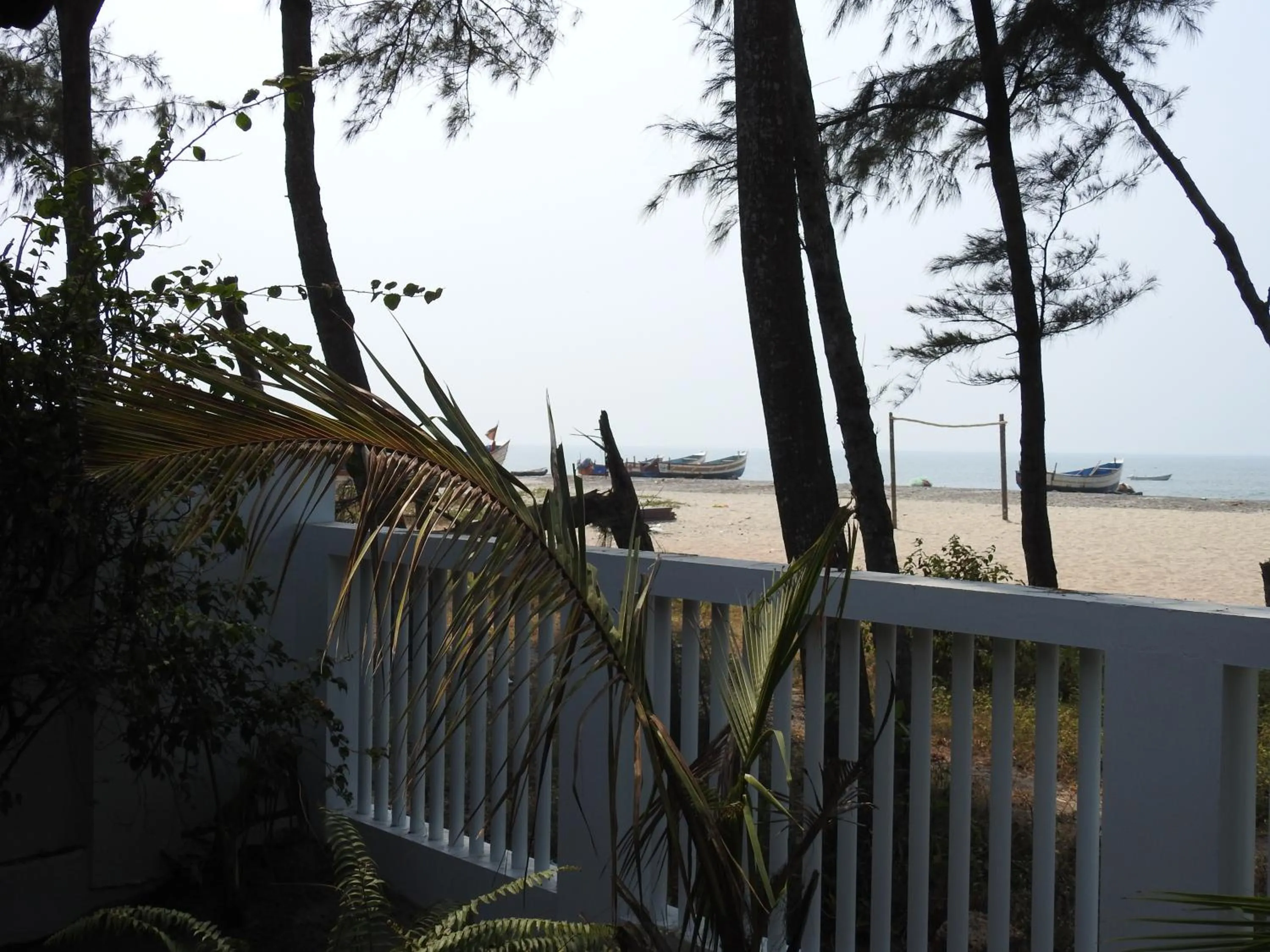 Alleppey Beach Garden