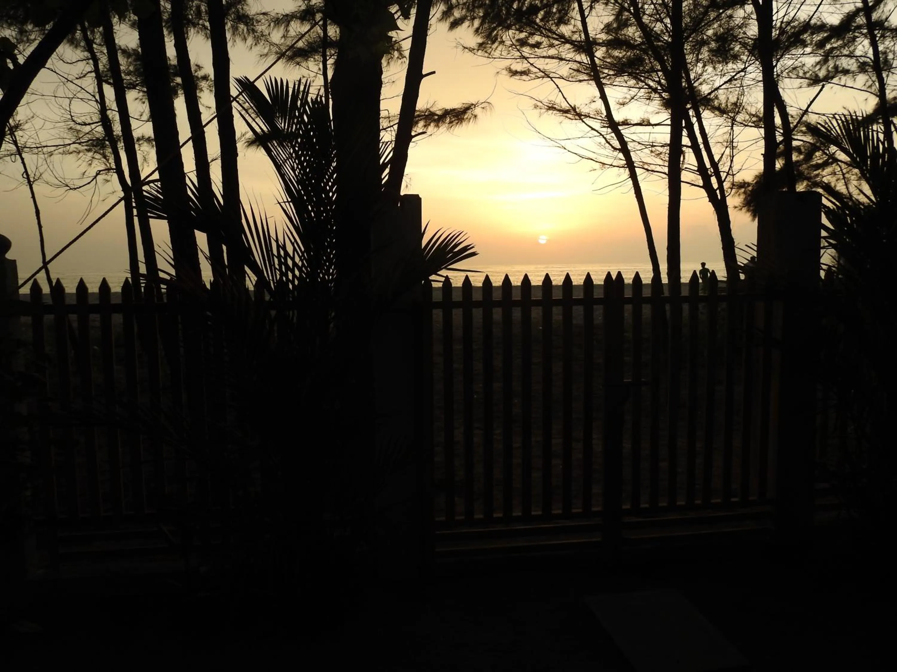 Property building in Alleppey Beach Garden