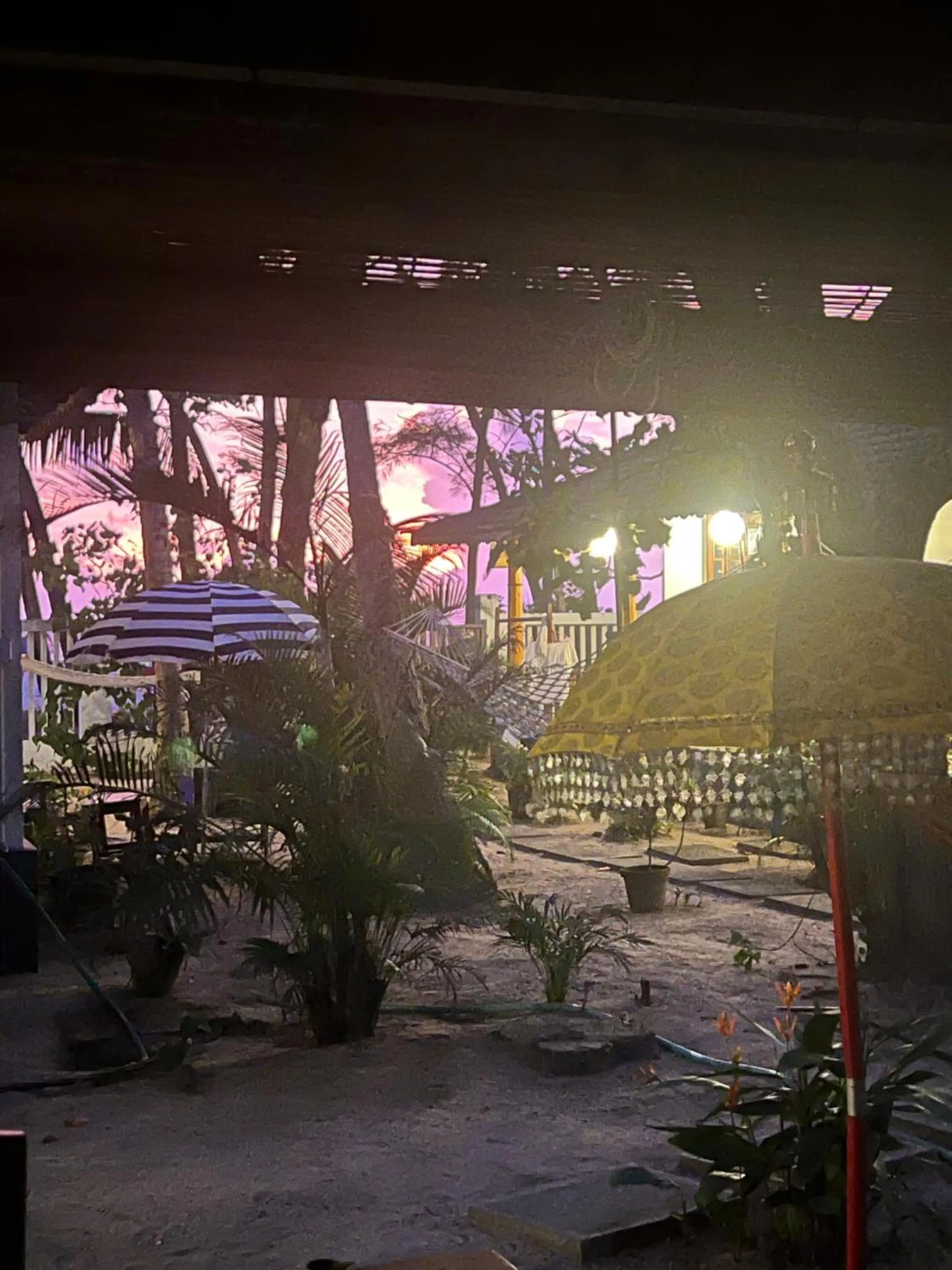 Alleppey Beach Garden