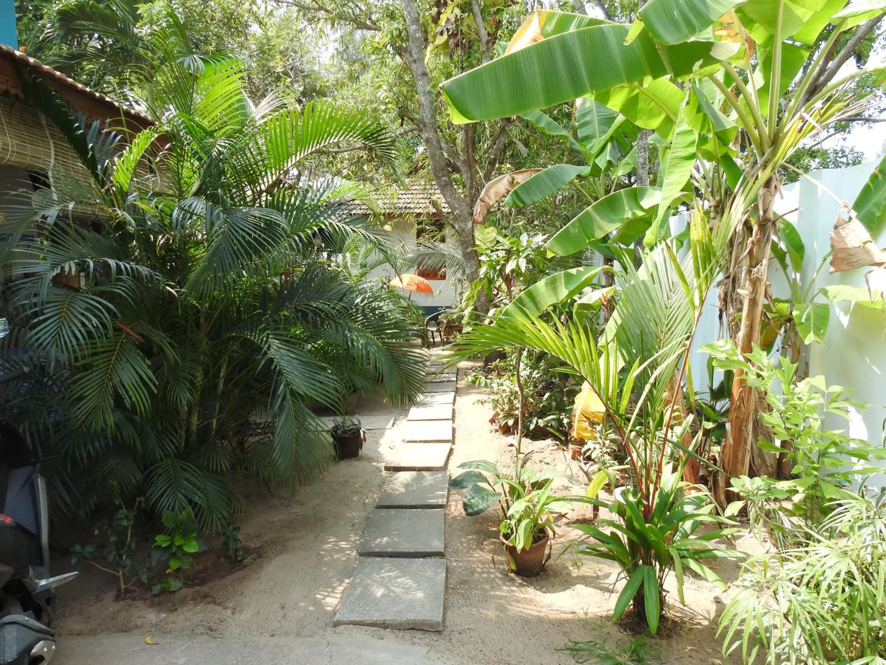 Alleppey Beach Garden