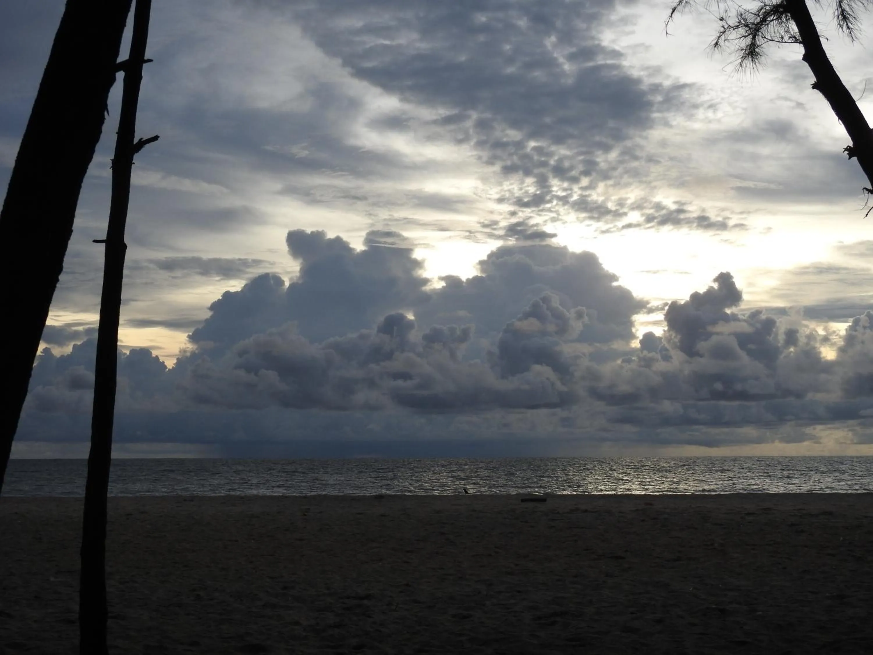 Alleppey Beach Garden
