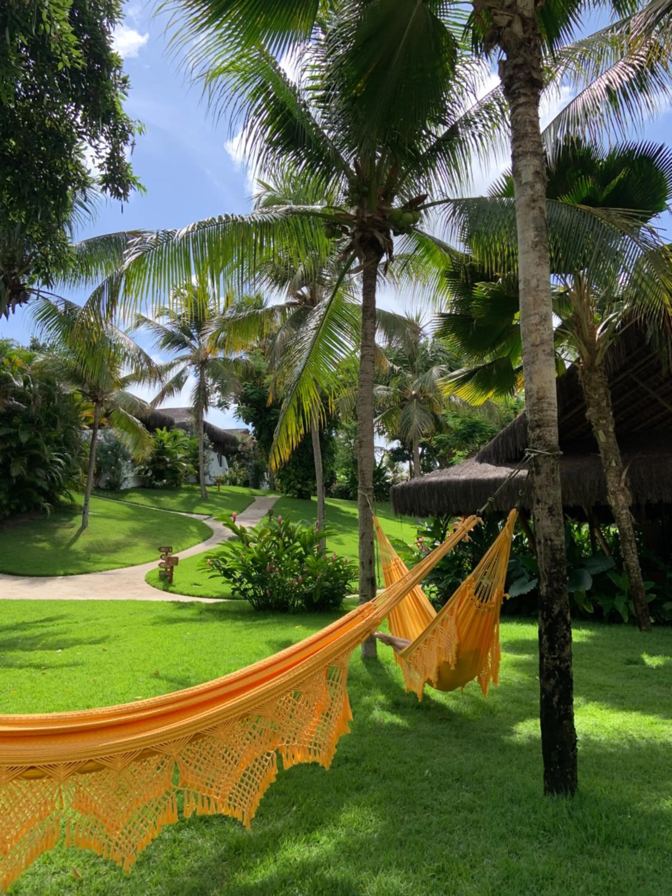 Garden in Madeiro Beach Hotel