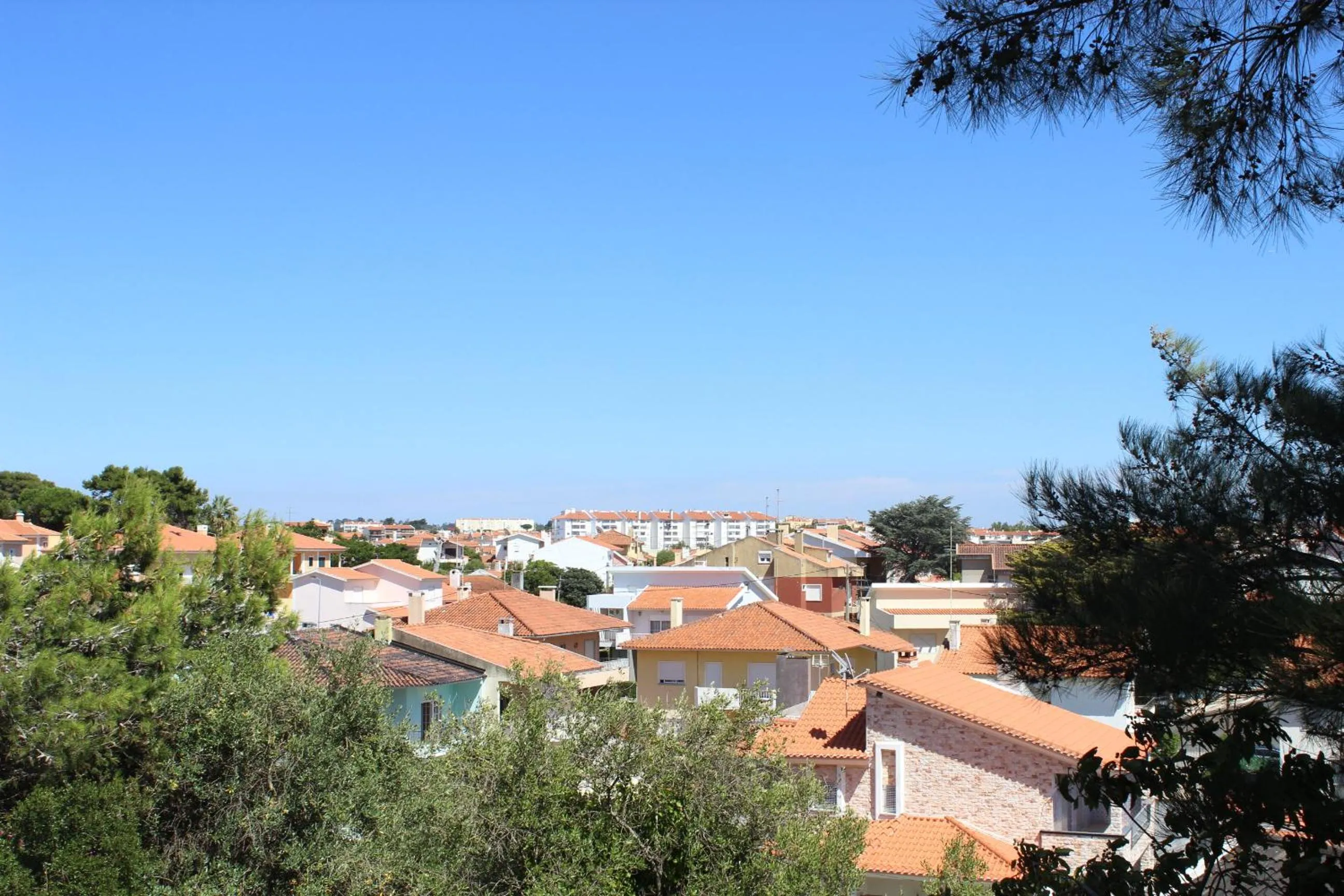 Day in Cascais Jasmim Doce