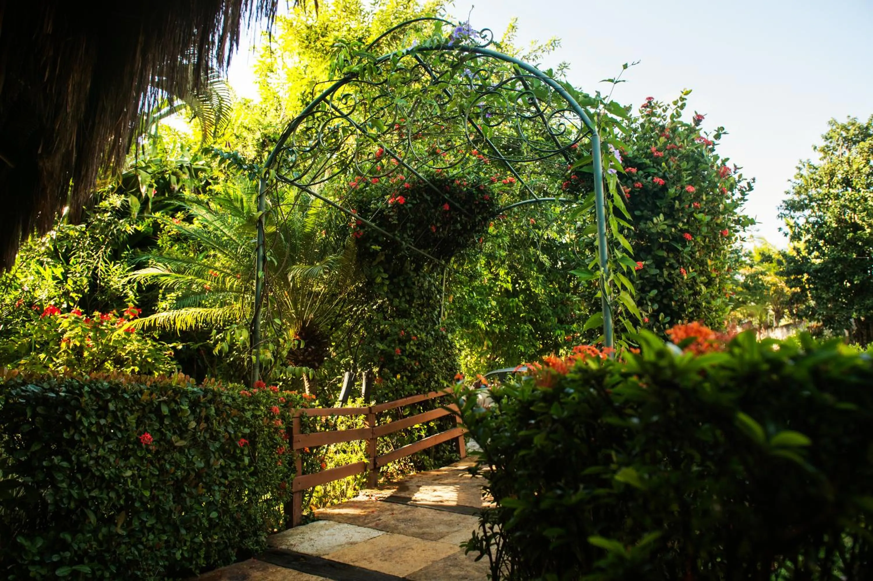 Garden view in Hotel Ponta do Madeiro