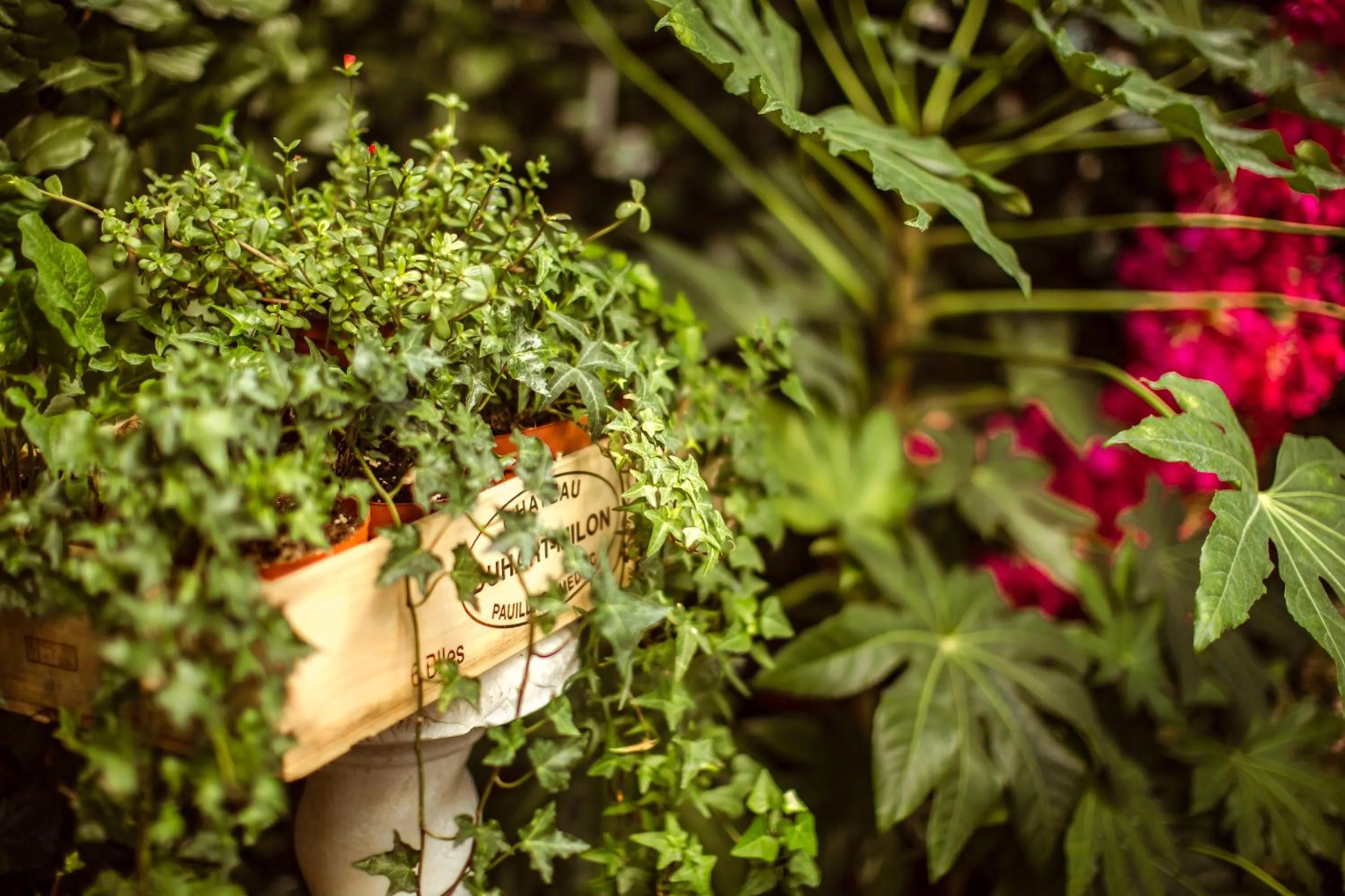 Garden in La Maison Gobert Paris Hotel Particulier