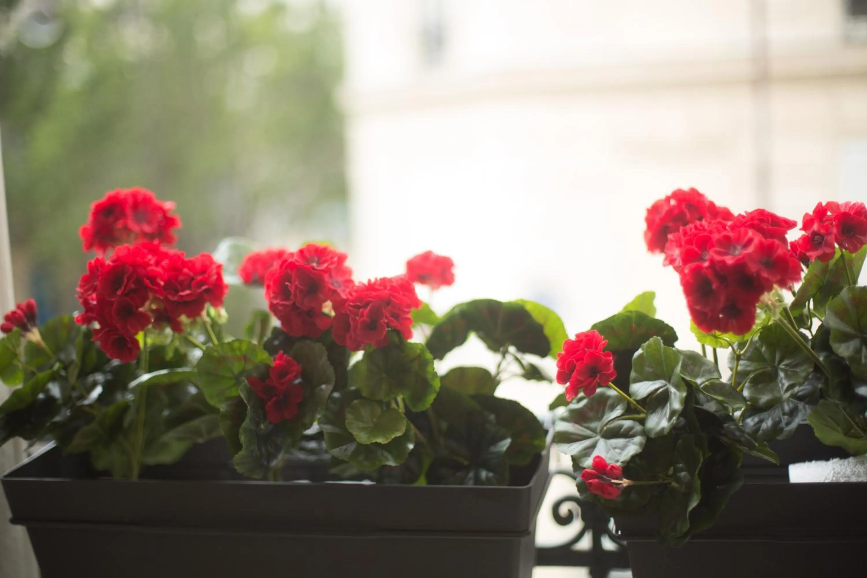 Decorative detail in La Maison Gobert Paris Hotel Particulier