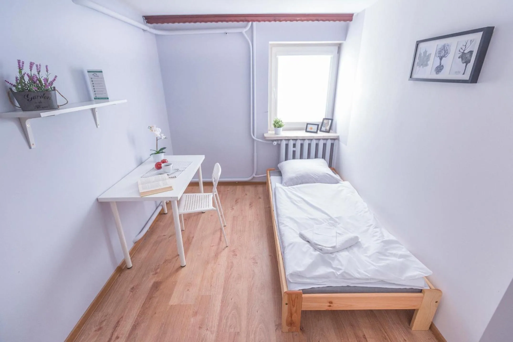 Photo of the whole room, Bed in Kujawska Rooms