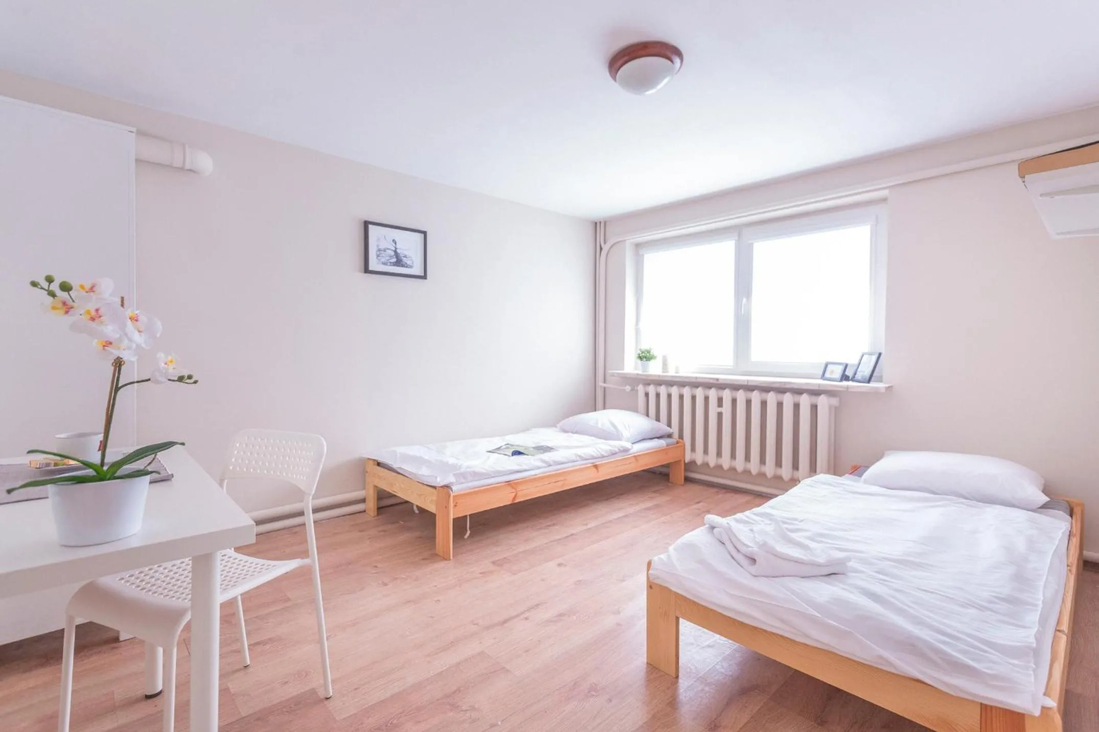 Photo of the whole room, Bed in Kujawska Rooms
