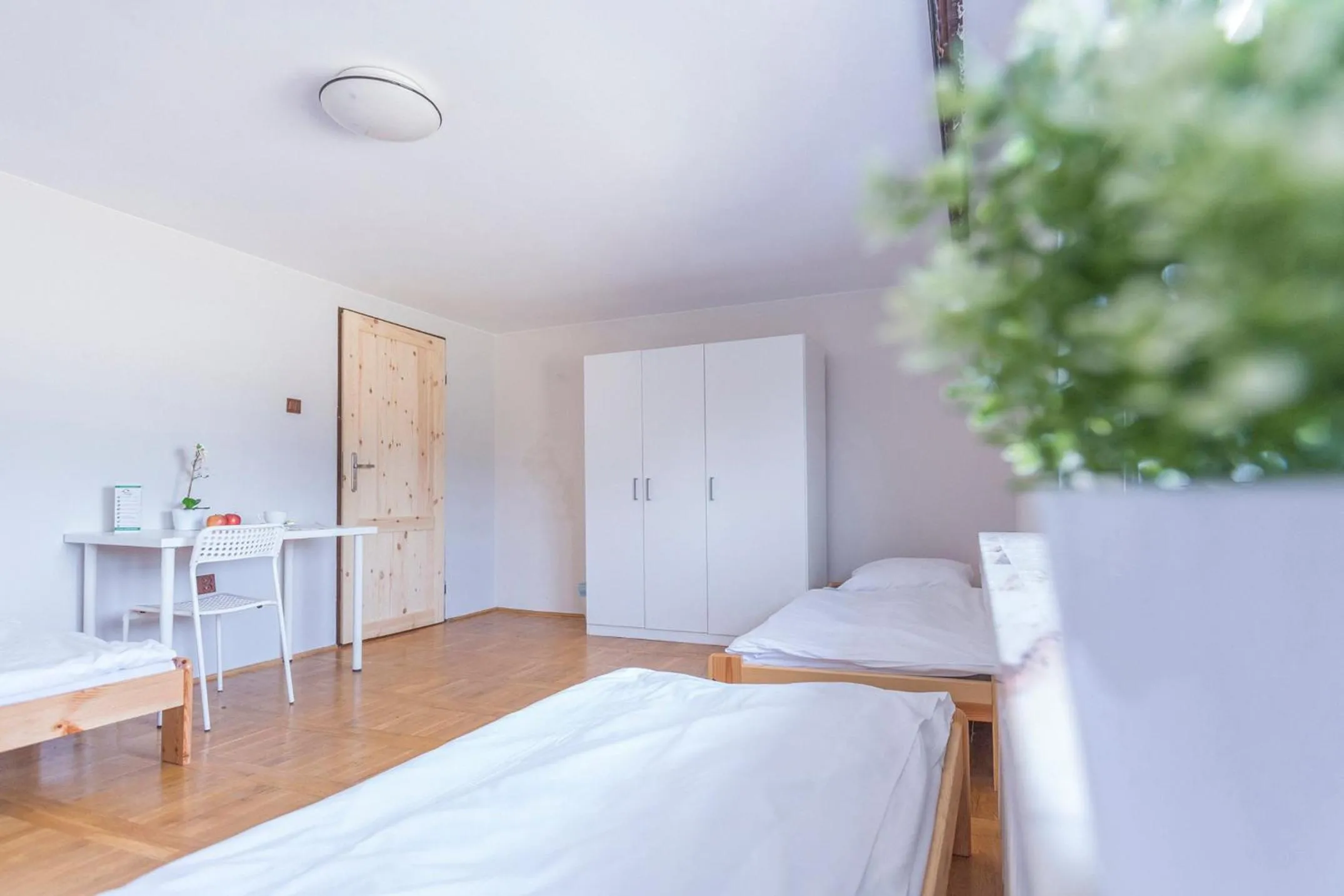 Photo of the whole room, Bed in Kujawska Rooms