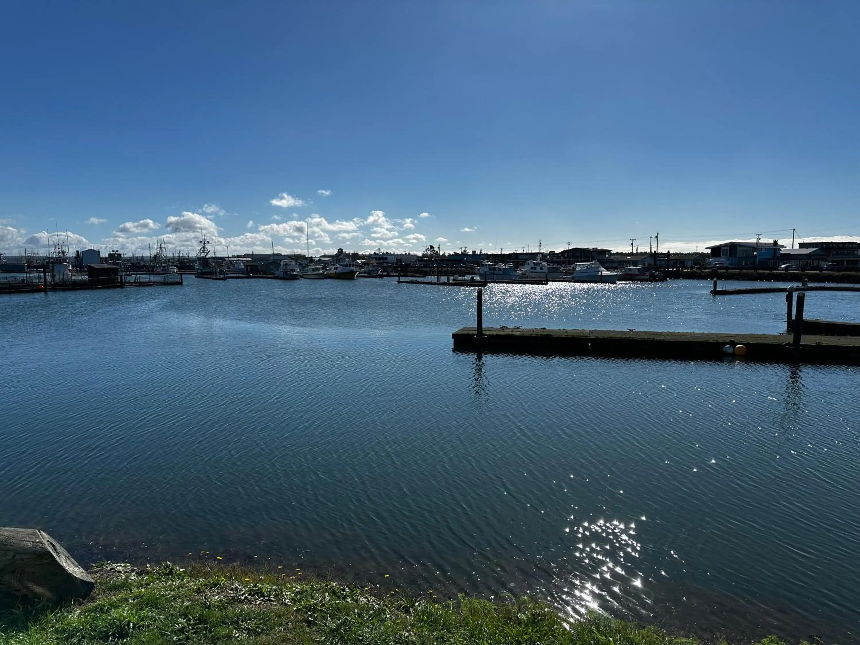 City view in Westport Marina Cottages