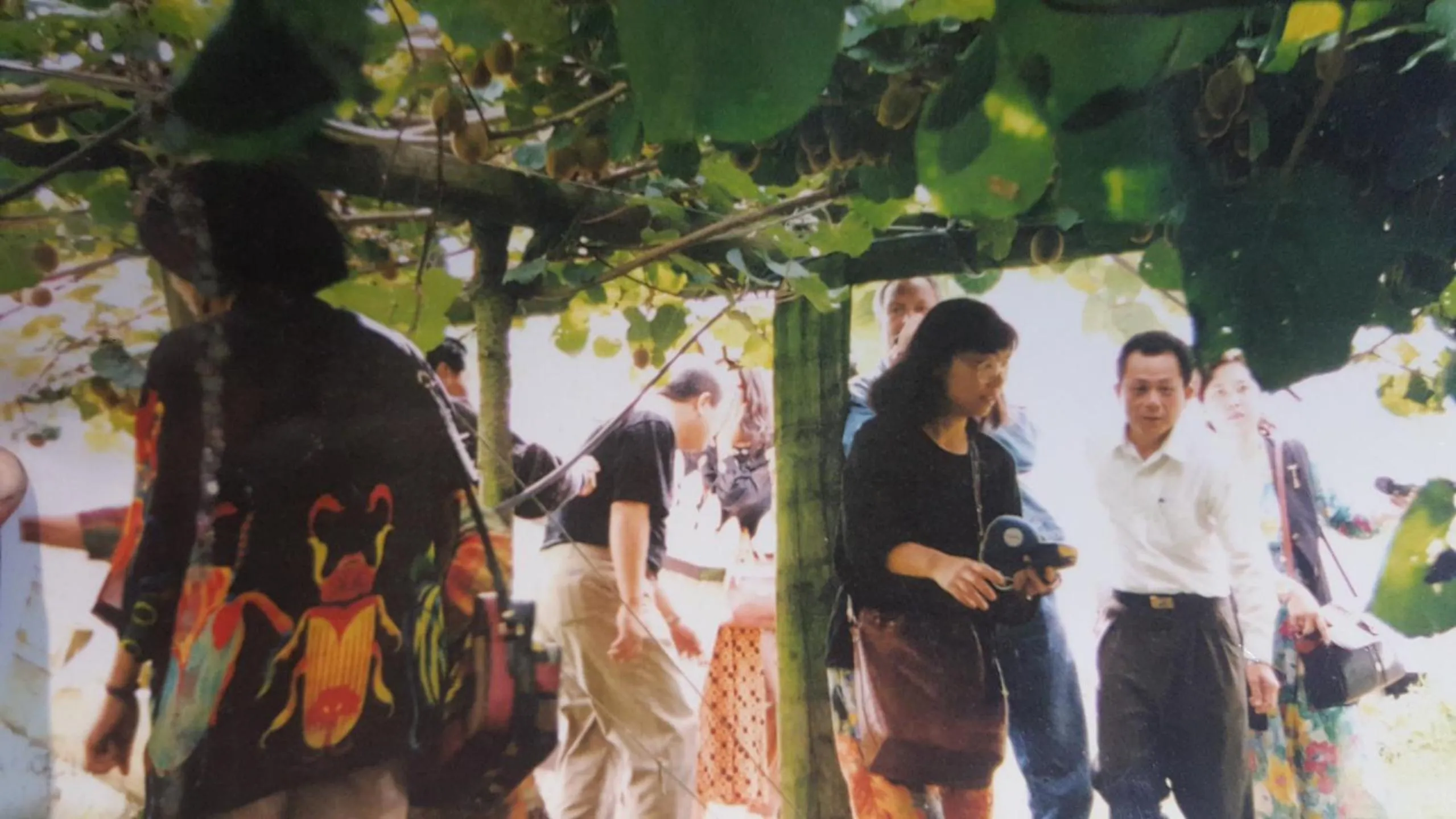 Off site in Waitomo Orchard Estate B&B