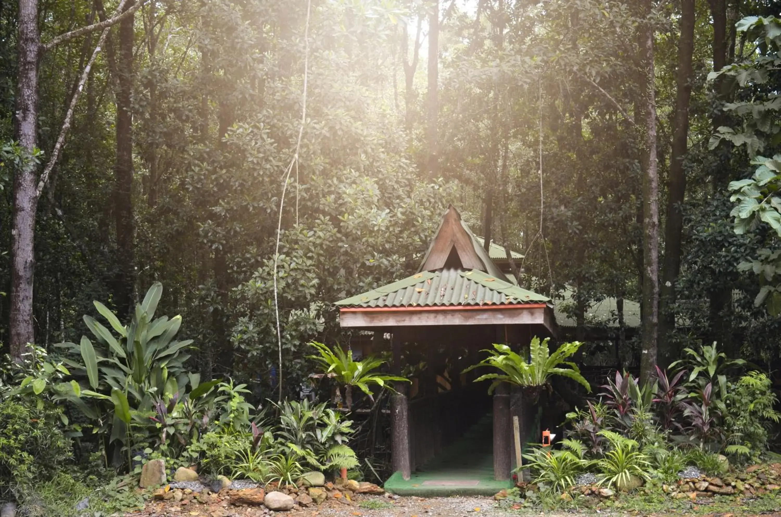 Property building in Villa Israel Ecopark El Nido Property building in Villa Israel Ecopark El Nido