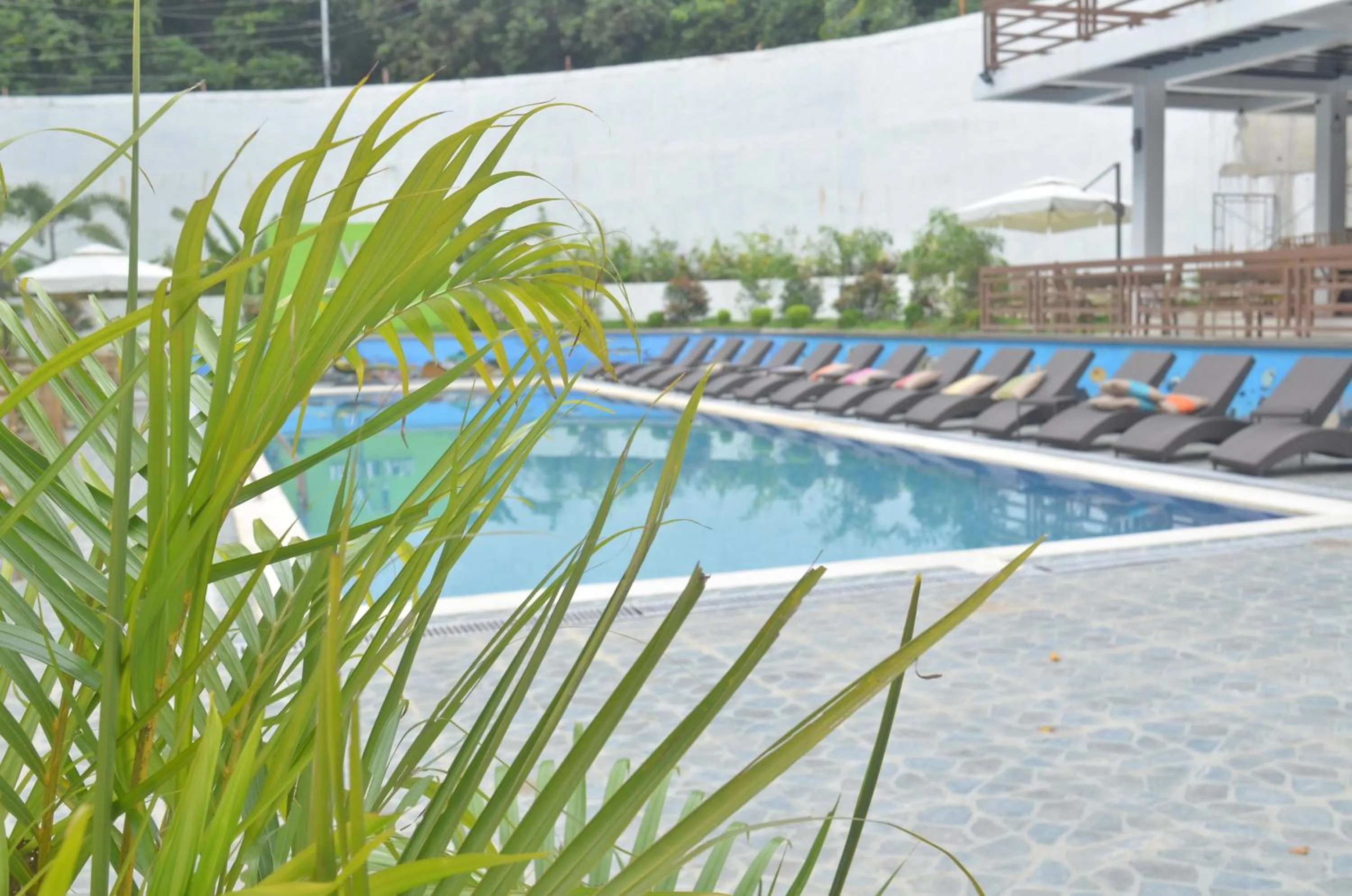 Swimming pool in Villa Israel Ecopark El Nido