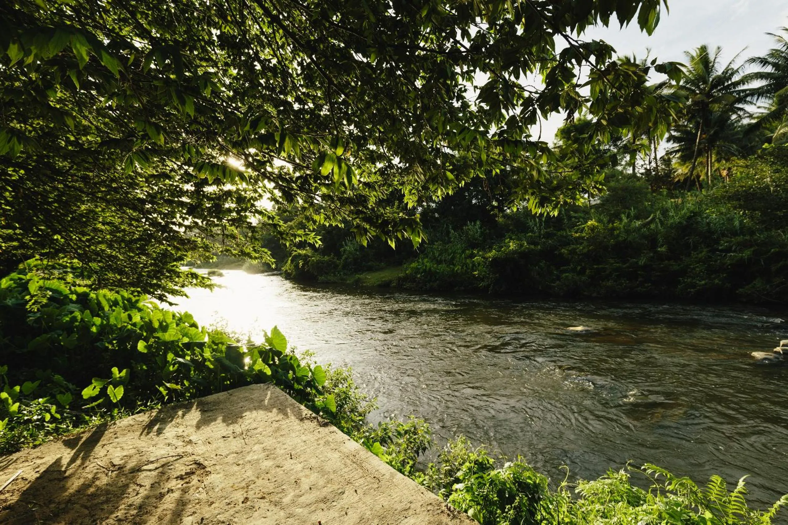 Area and facilities in Sterling Anaikatti